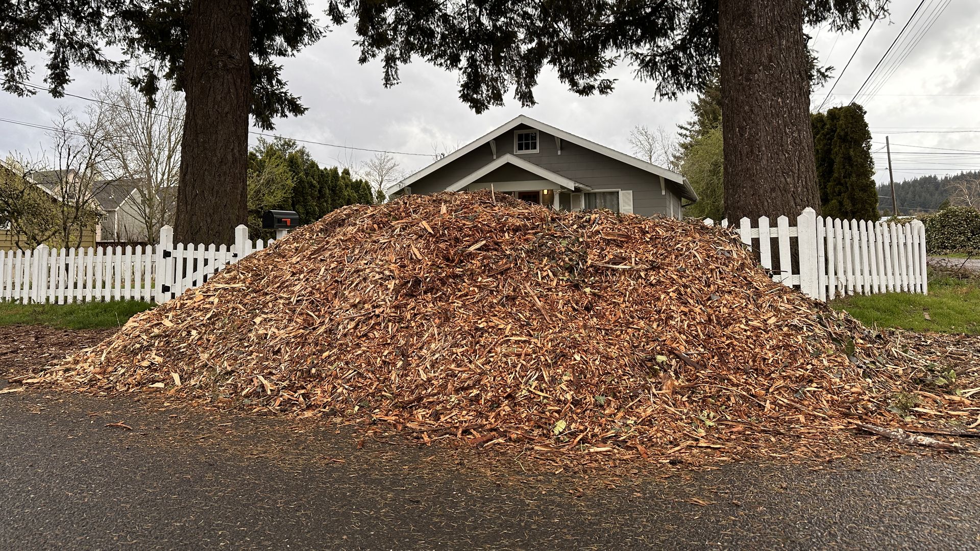 Pile of woodchips in front of a one story house and two big trees