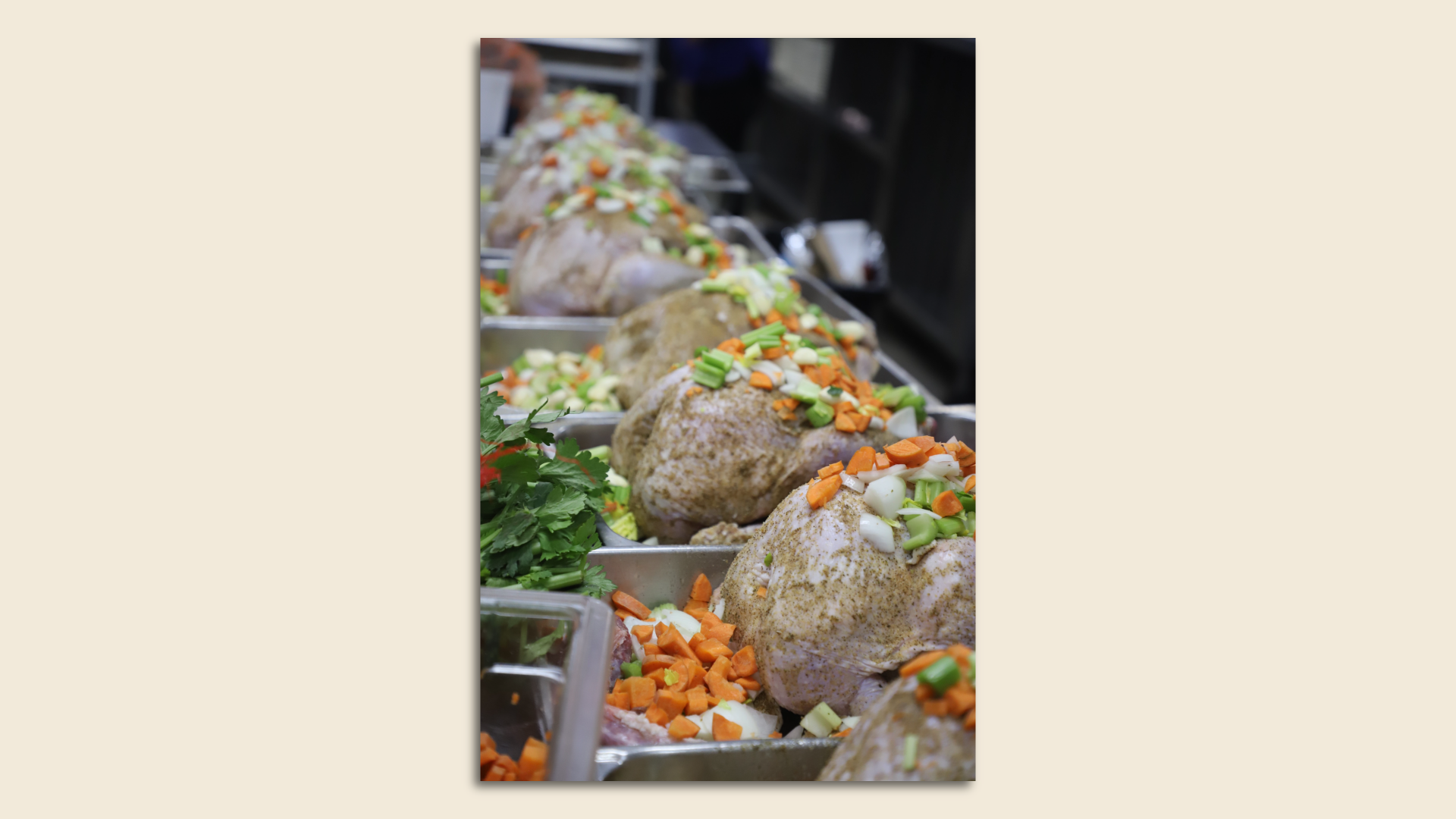 Turkeys prepared for baking
