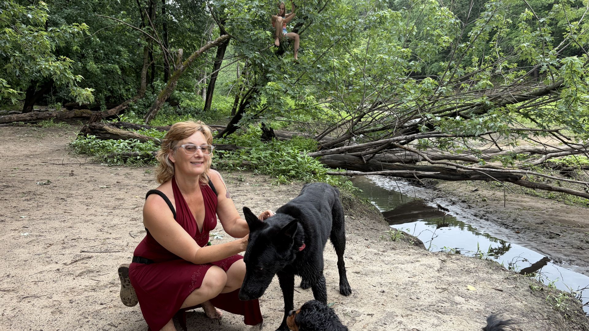A woman in a red dress kneels on a sandy riverbank, smiling, with two black dogs nearby. A child sits on a branch high in a fallen tree among green trees by a calm stream.