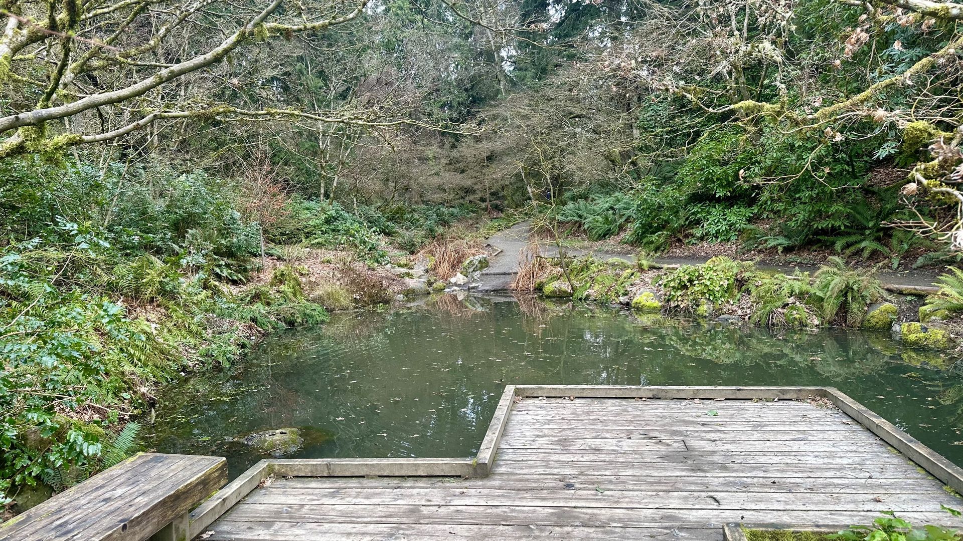 A photograph of a dock jutting into a small body of water, surrounded by greenery. 
