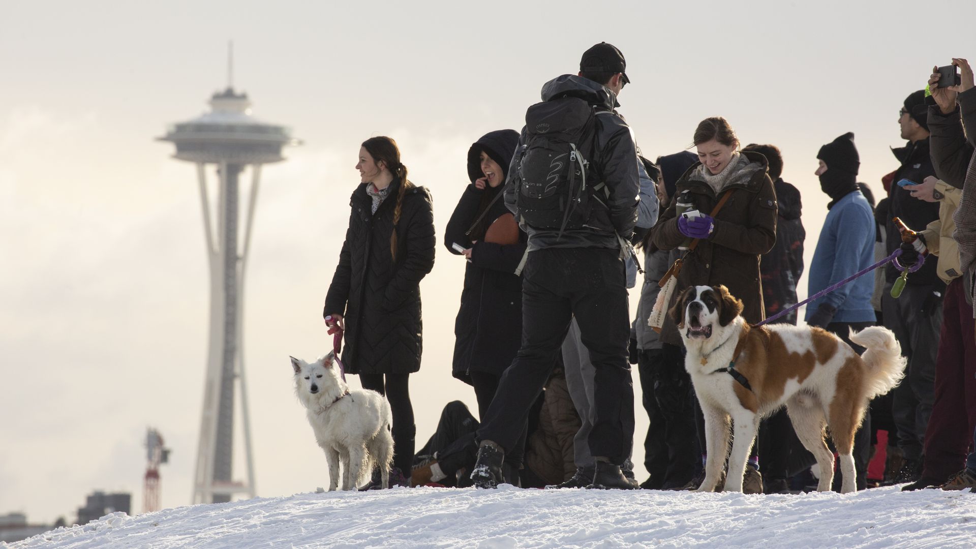 People and dogs on a snowy hill in front of Seattle Space Needle