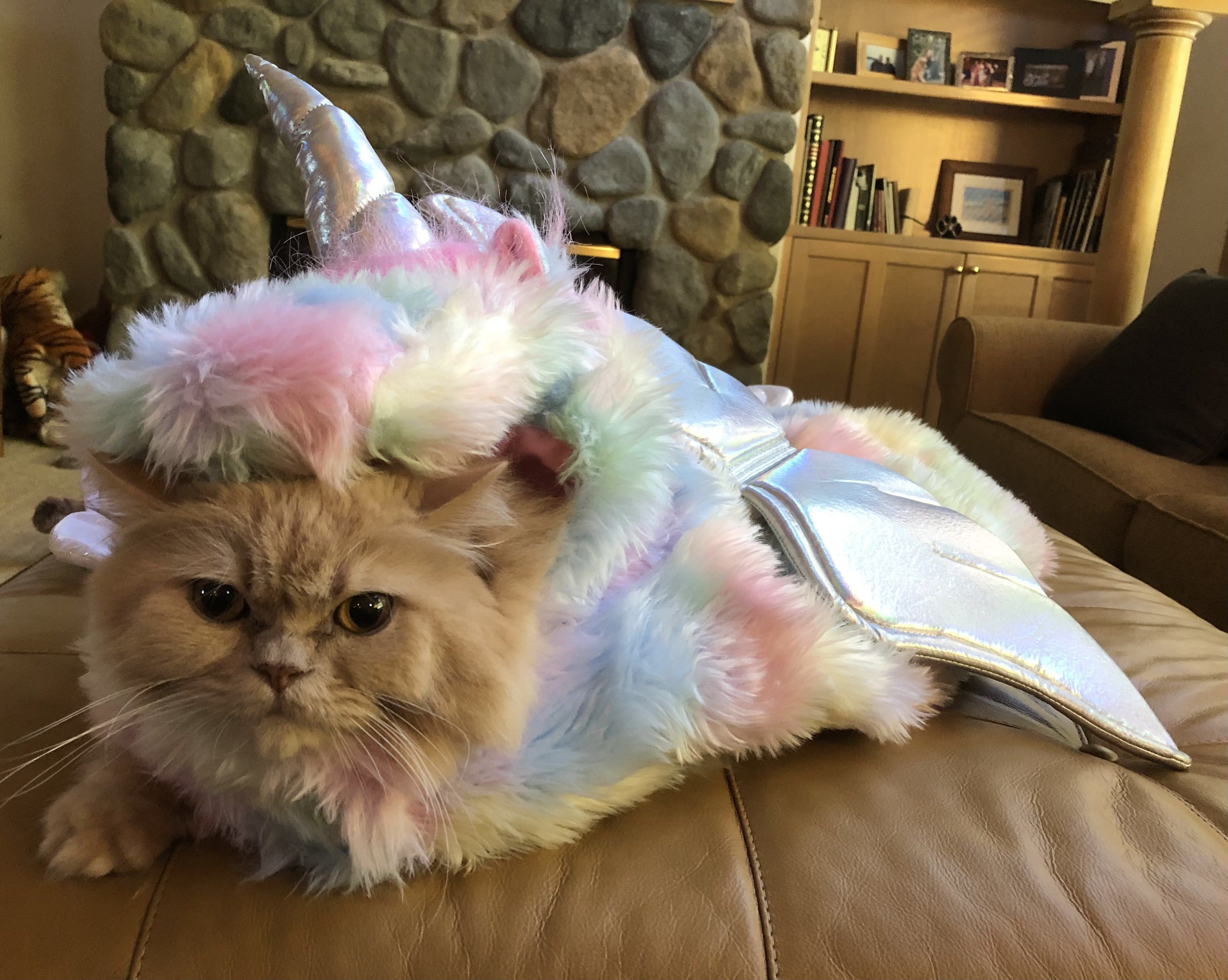 Culture - Axios Seattle