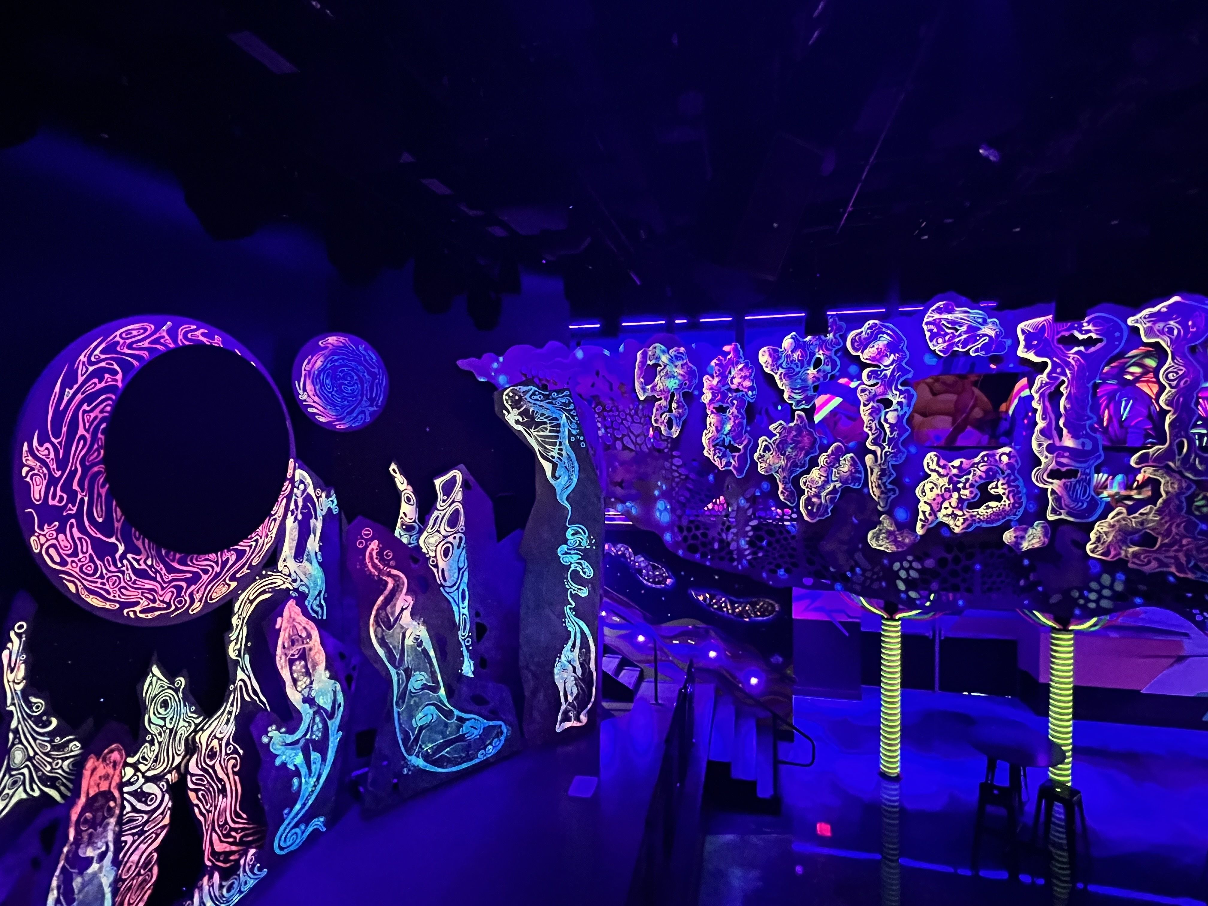 Photo of a room in florescent dark light