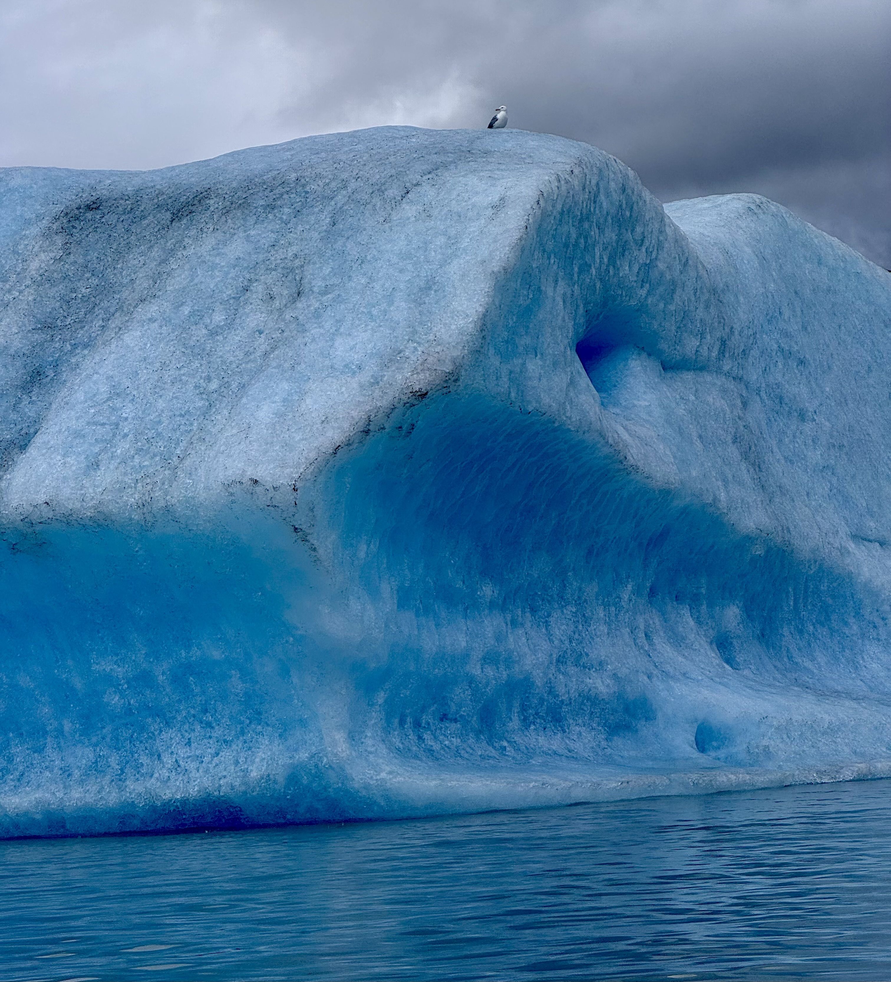 Small seabird perched atop a massive blue iceberg, with a stormy gray sky and deep blue ocean below.