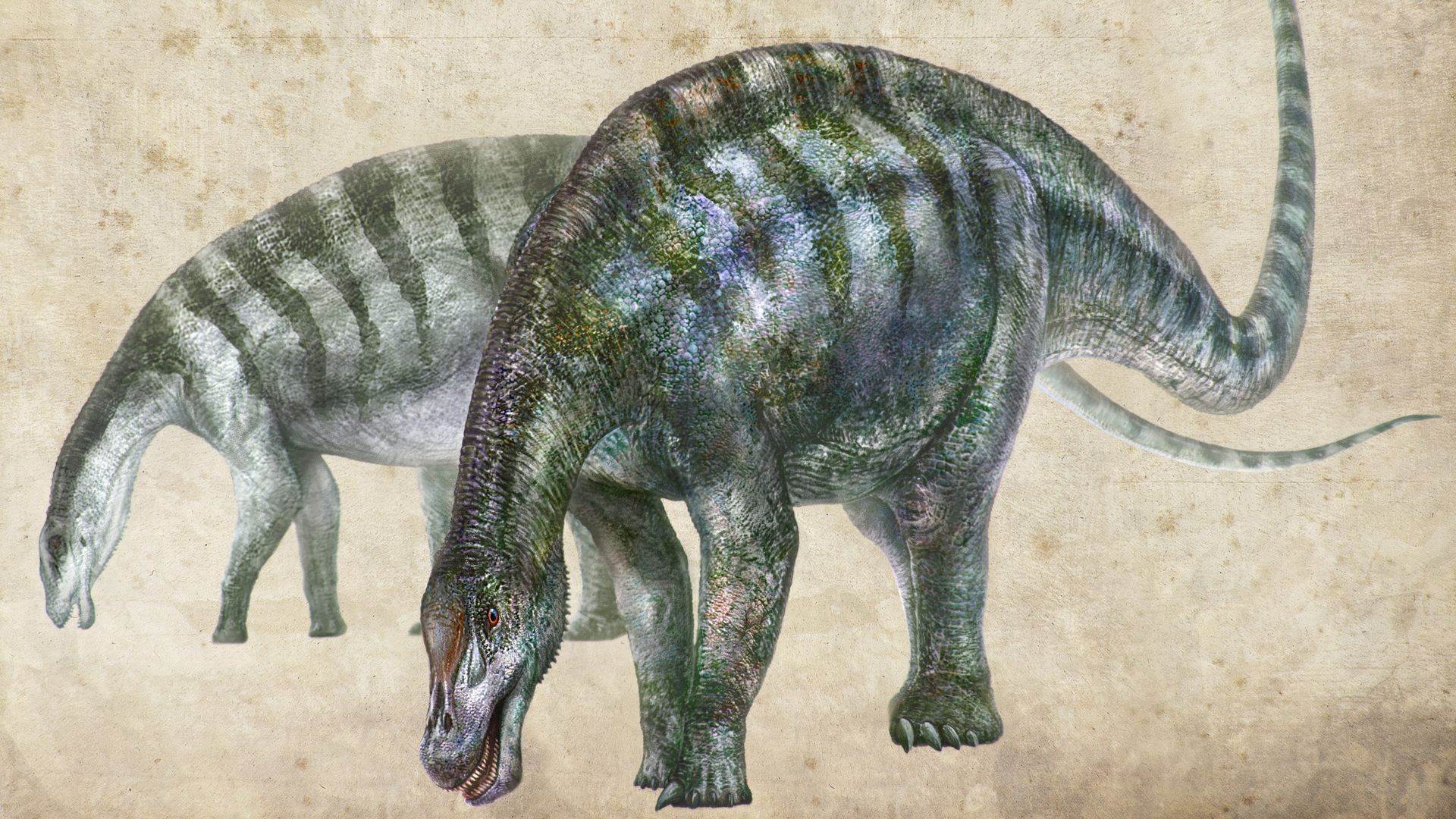 An artist's rendering of new dinosaur Lingwulong shenqi