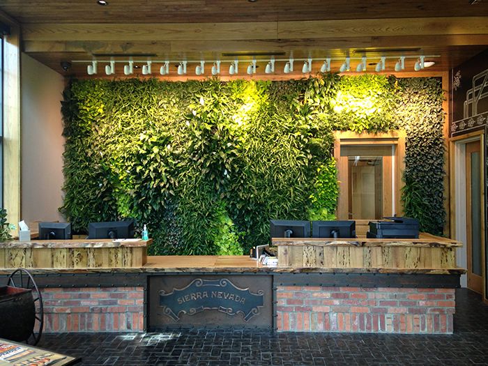 sierra-nevada-mills river