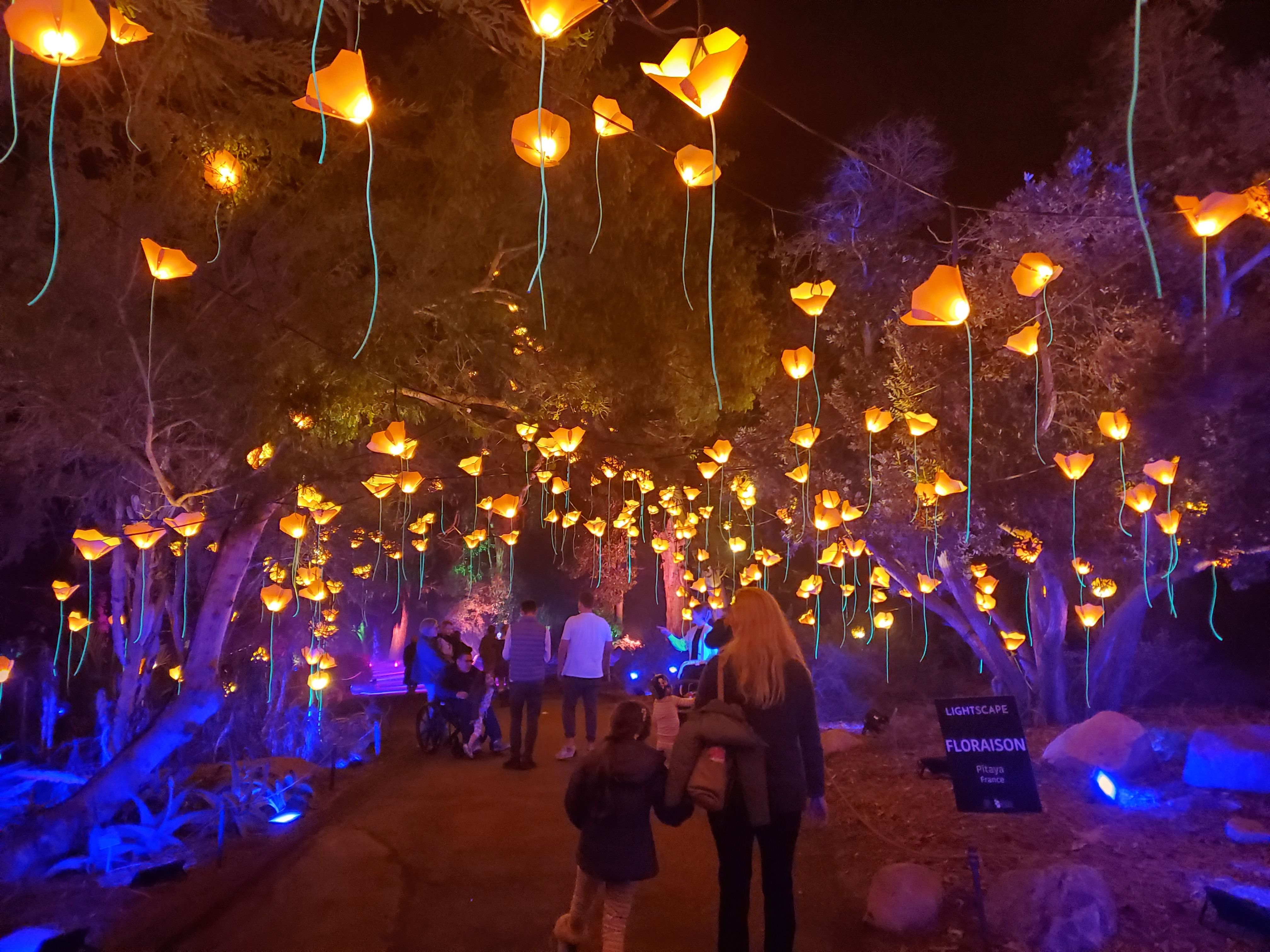 How San Diego Botanic Garden pulls off its dazzling Lightscape