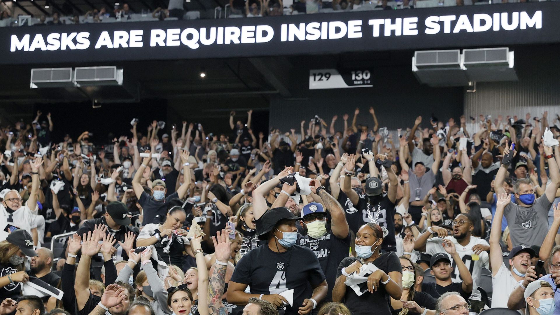 Fans at a sports game