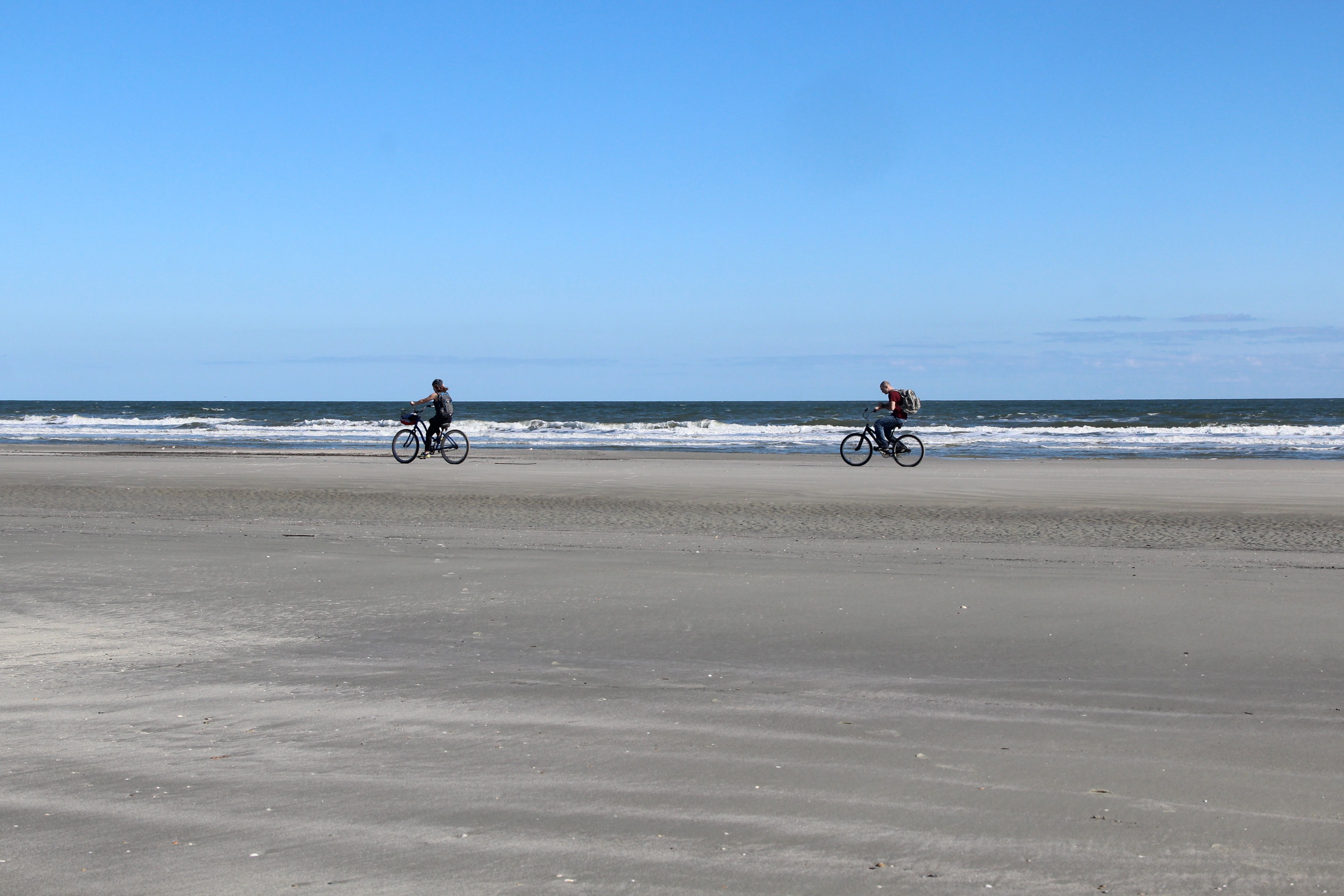 Atlantic Ocean beach, barrier island, Cumberland Island, Georgia. (Photo by: Education Images/Universal Images Group via Getty Images)