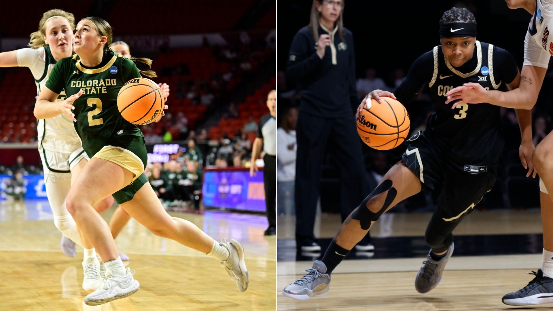 Split image of women's college basketball: left shows a Colorado State player in green (#2) dribbling; right shows a Black-clad CSU player (#3) dribbling with a knee sleeve.
