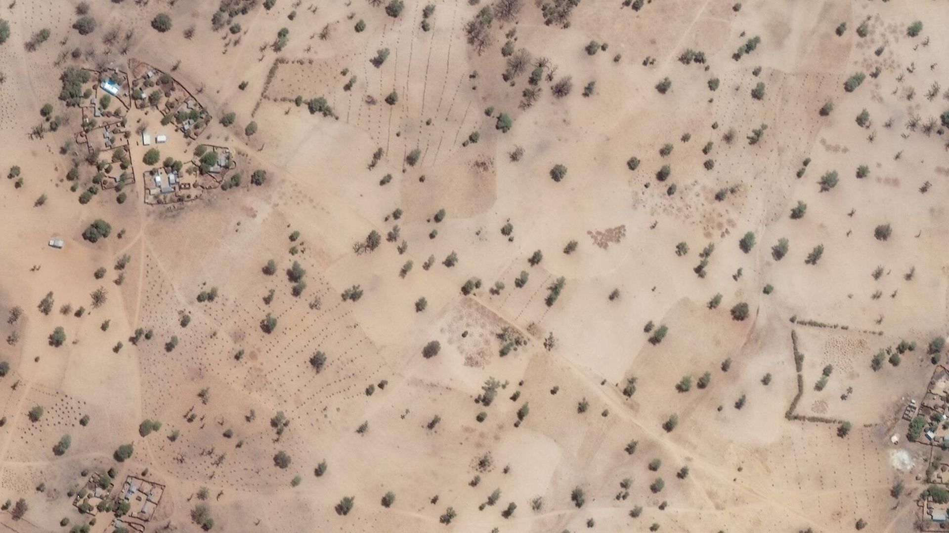 Satellite image of trees and farmland in Senegal
