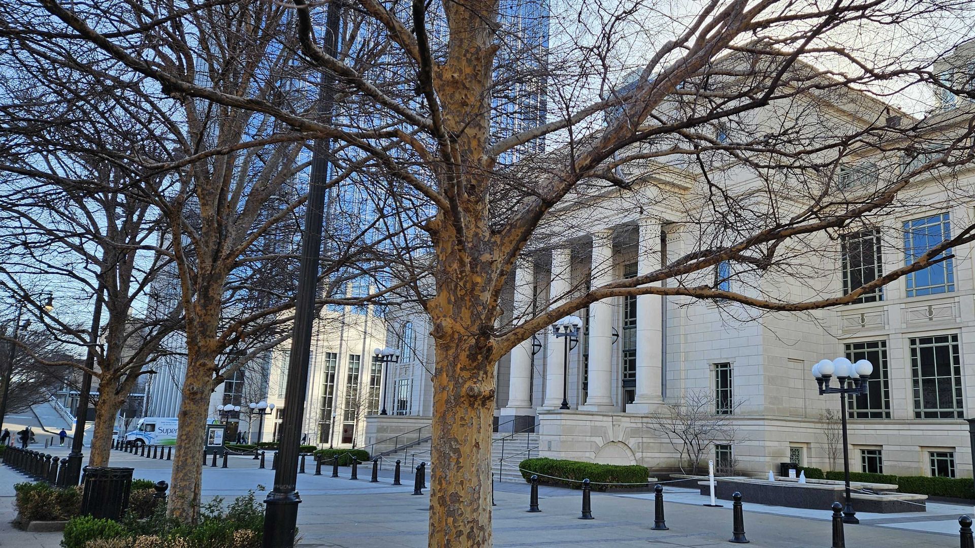 Trees in front of the Schermerhorn property