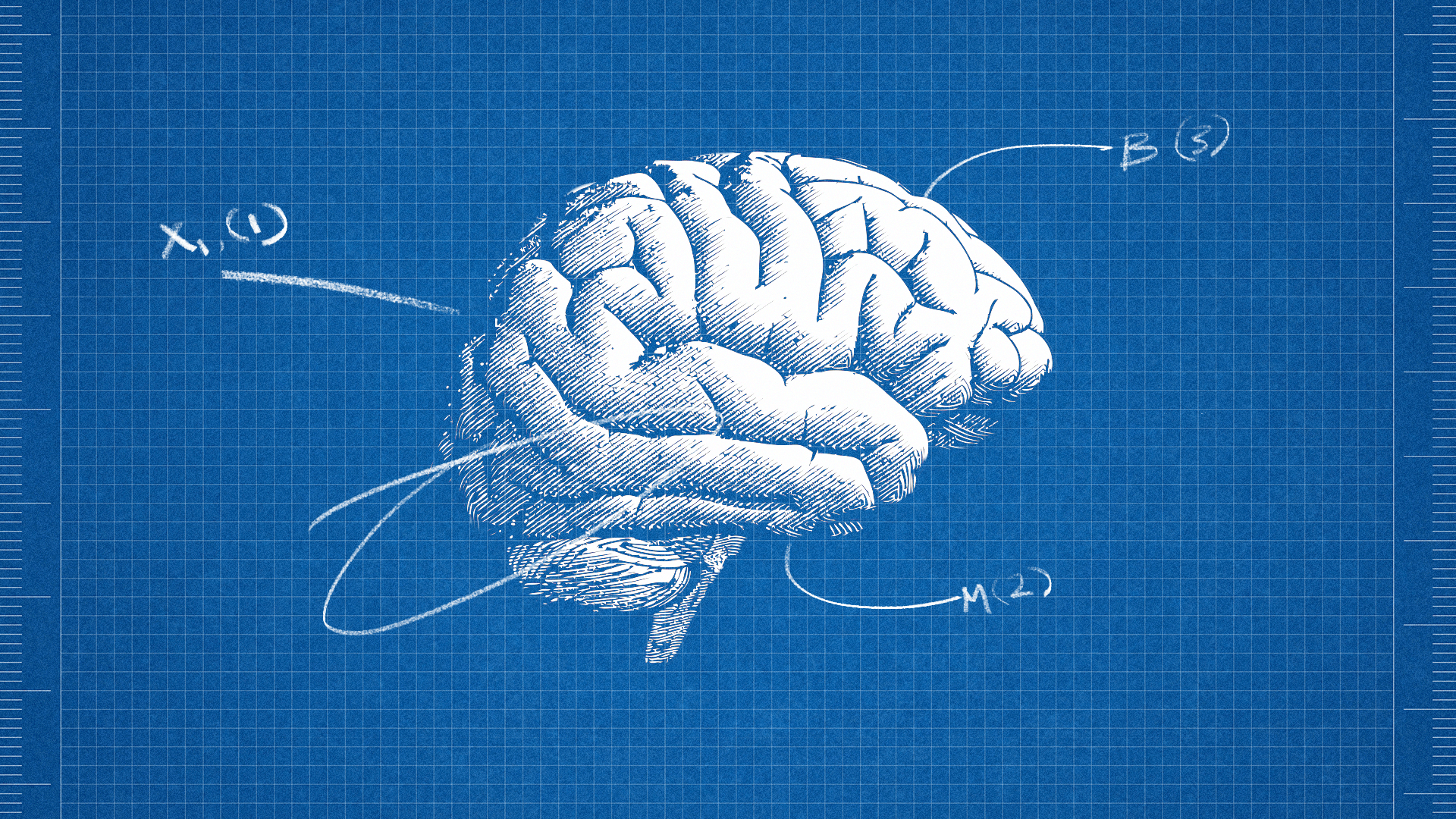 Illustration of a brain on blueprint paper with various areas called out.