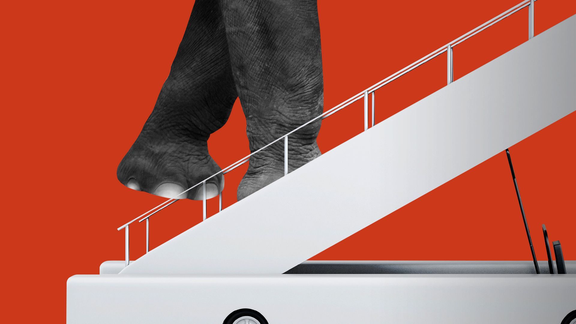 Illustration of elephant feet going up an airplane stairway.