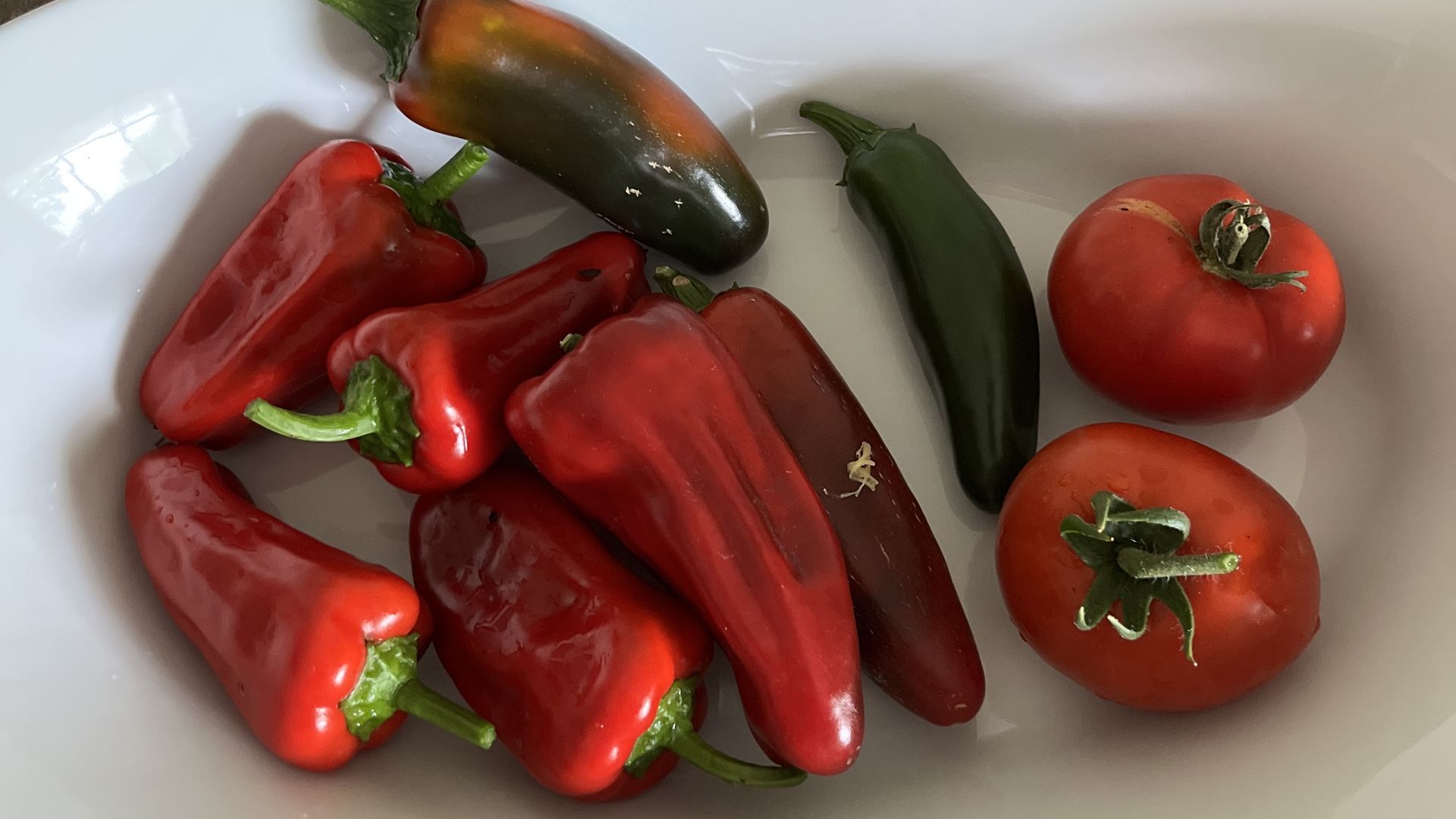 Peppers and tomatoes in Michigan
