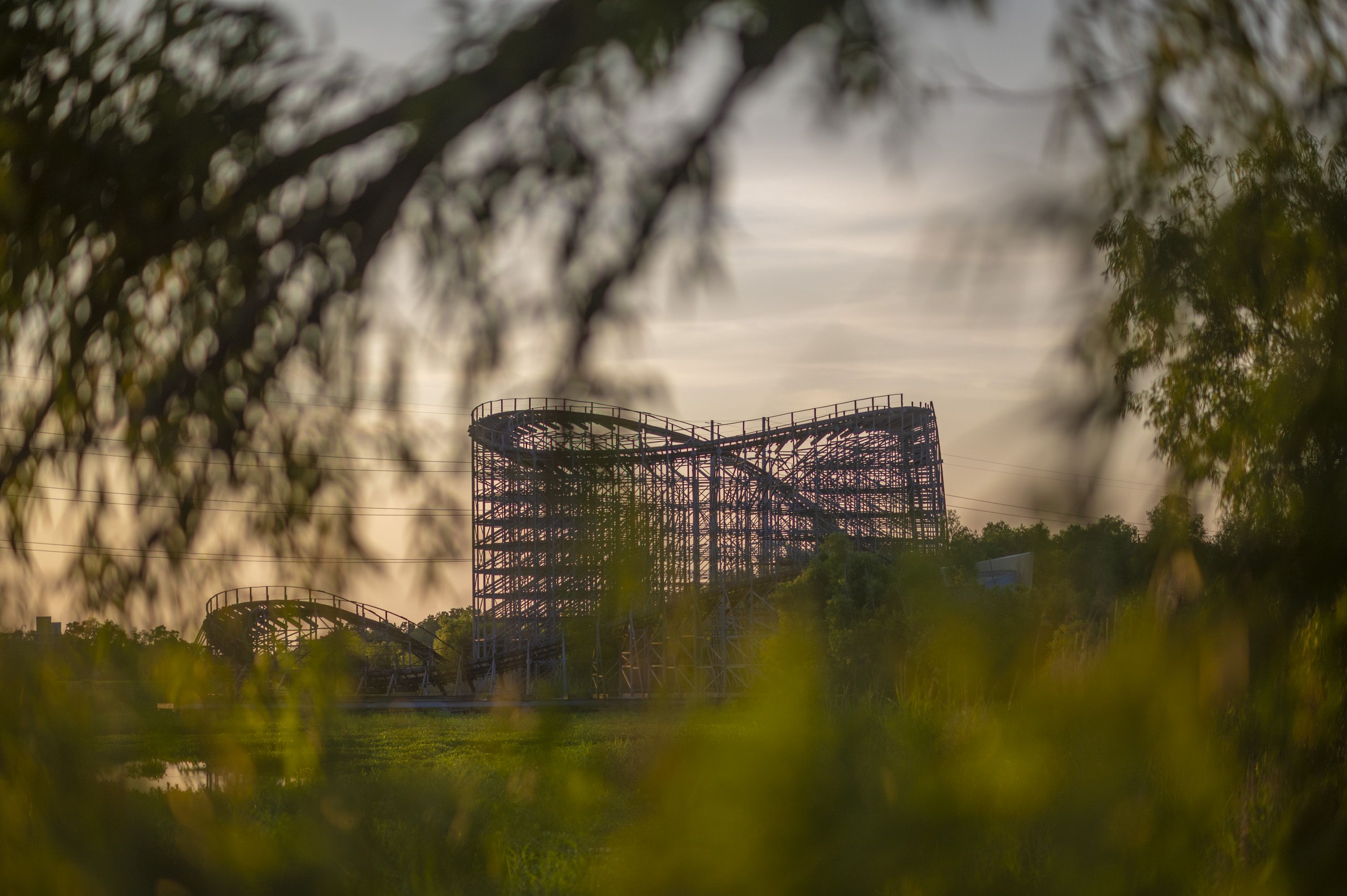 Image shows abandoned rollercoaster tracks.