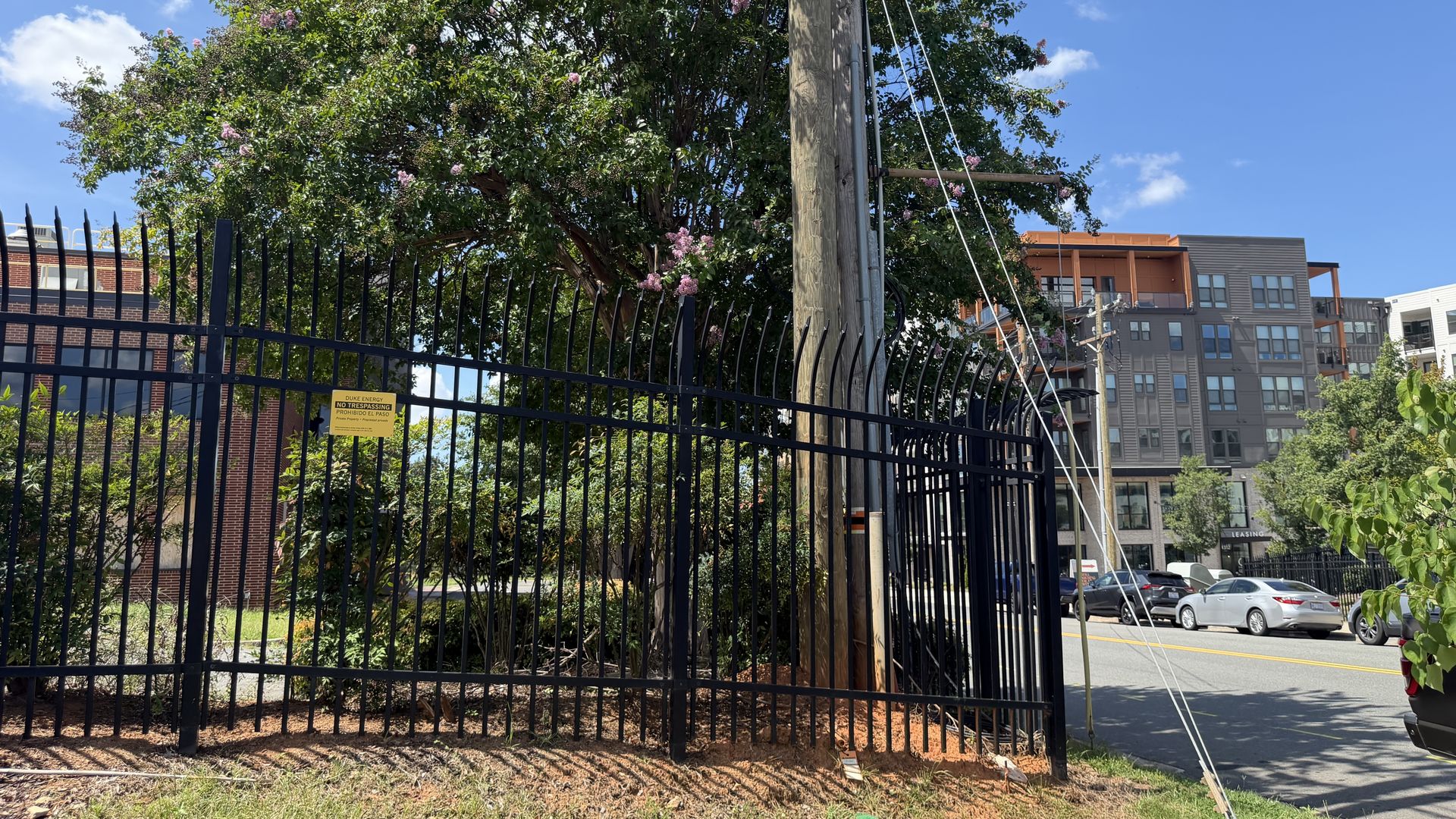 Tall wooden utility pole with an orange cap and wires stands beside a lush tree with pink blossoms behind a black metal fence; modern buildings and parked cars line a sunny street.