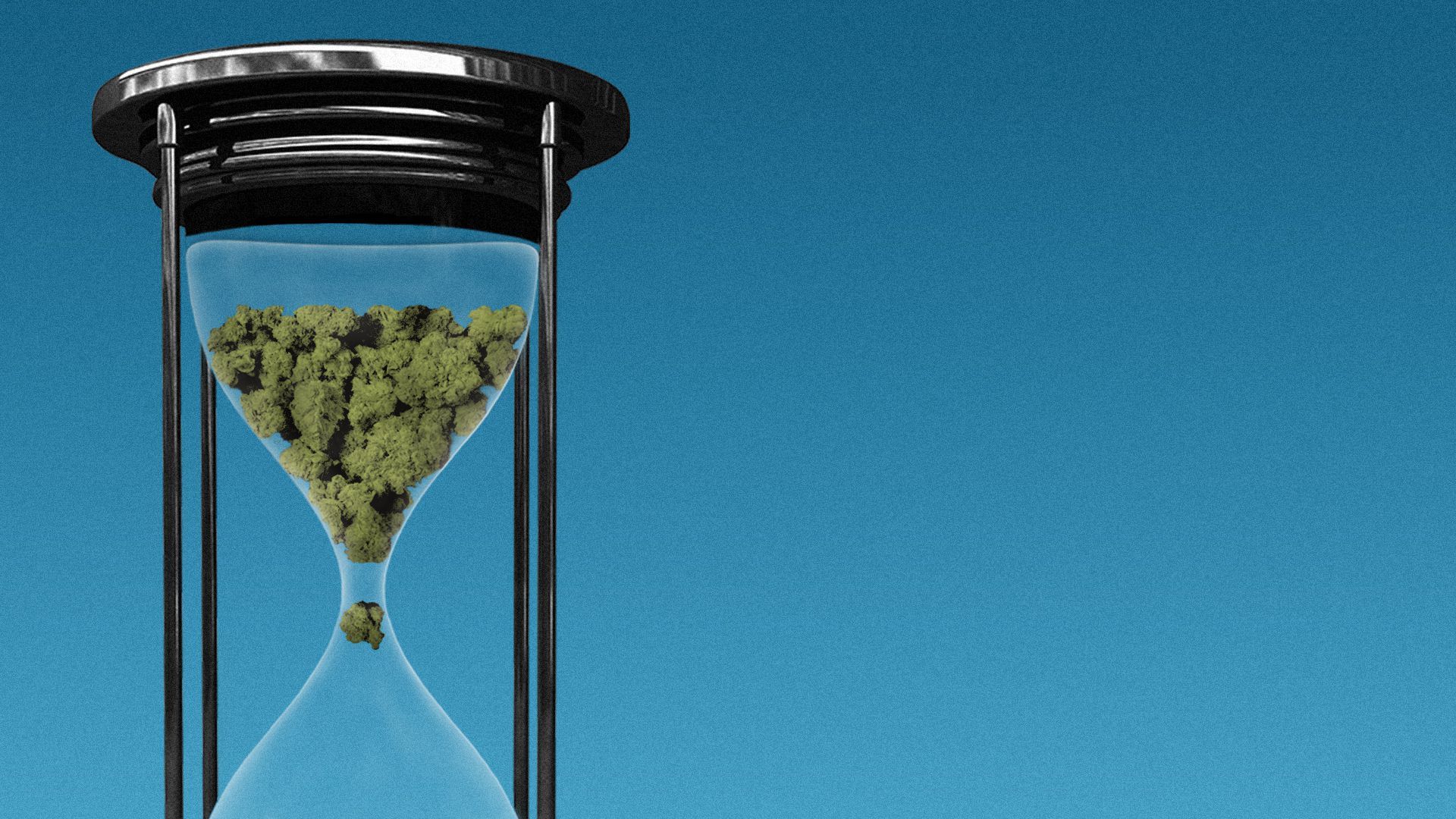 Illustration of marijuana in an hourglass. 