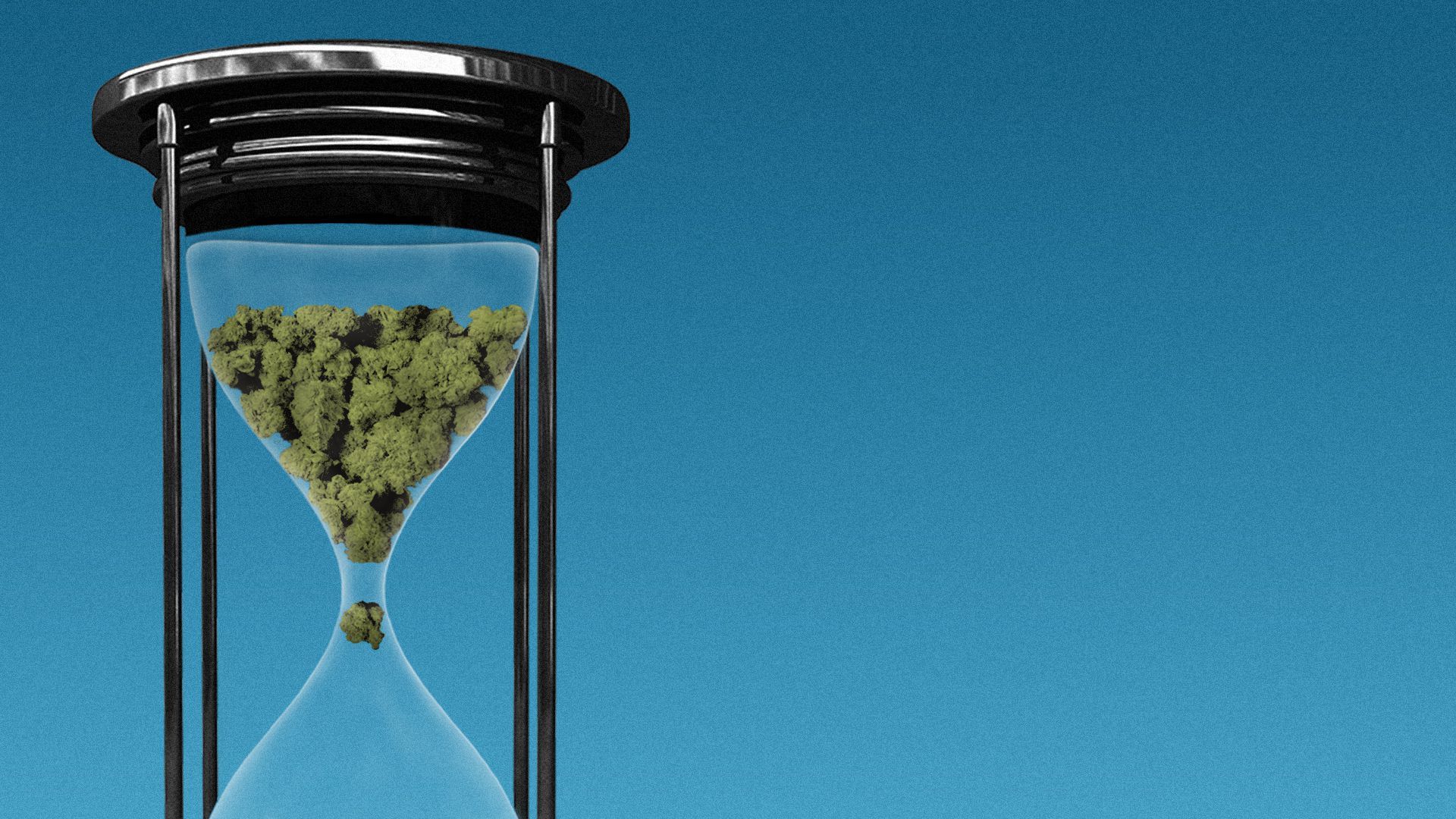 Illustration of marijuana in an hourglass.