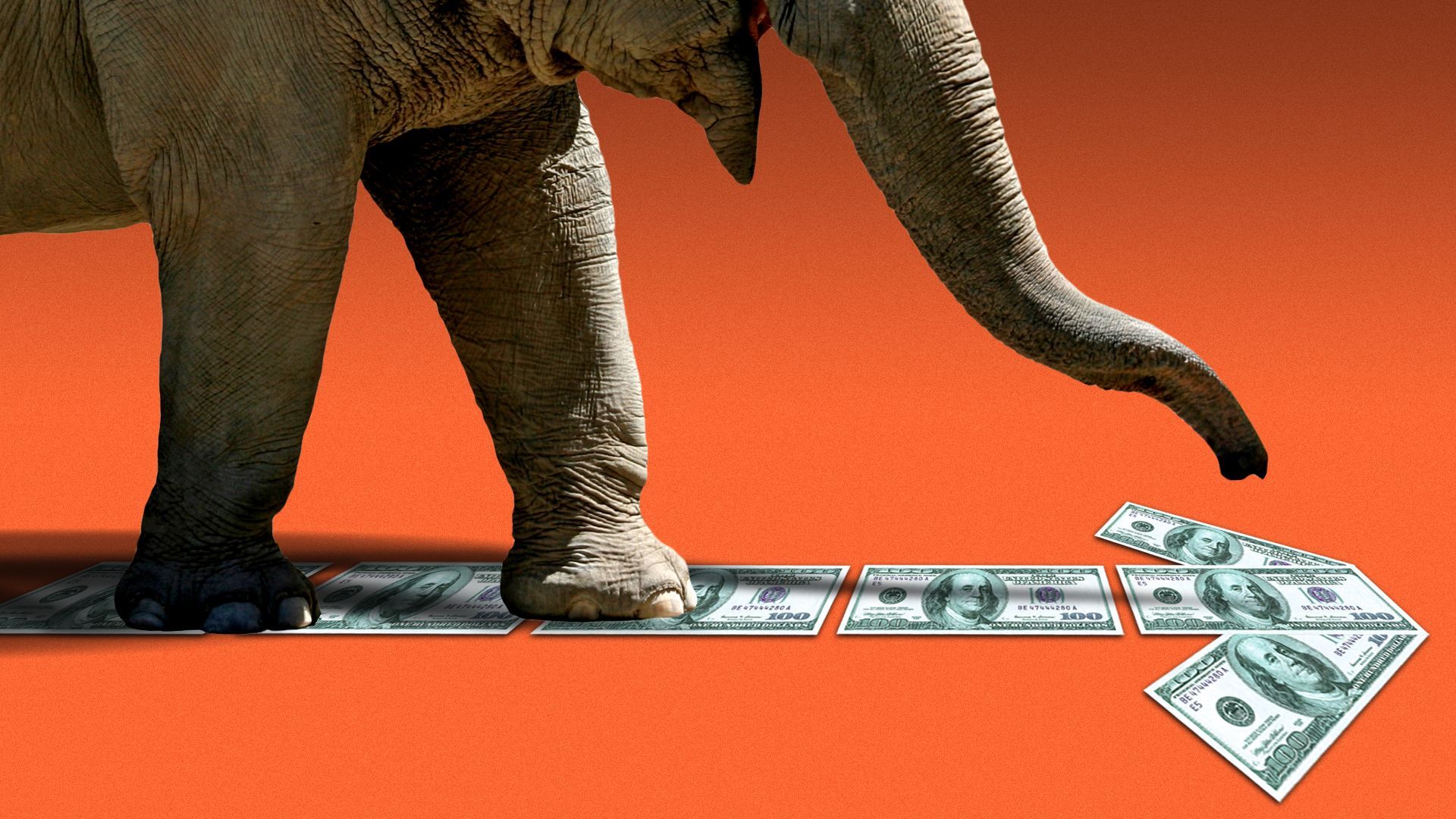 Illustration of an elephant following an arrow made from one hundred dollar bills