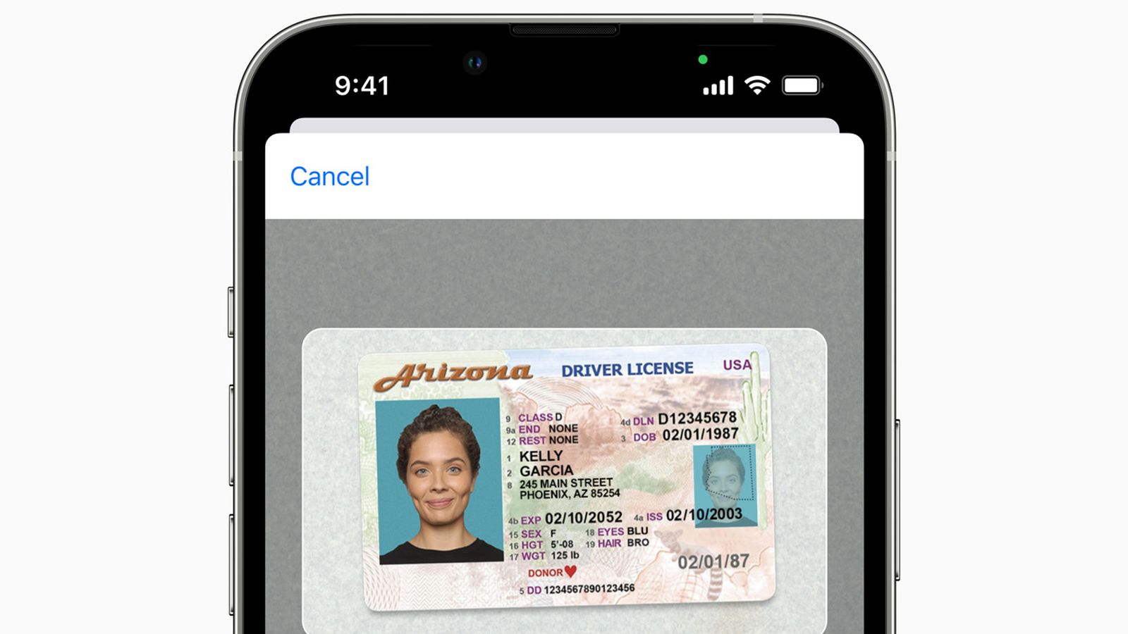 georgia driver's license apple wallet