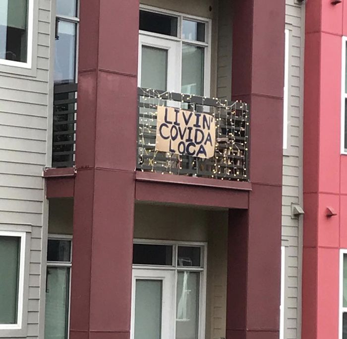 mercury noda apartment sign coronavirus lyrics