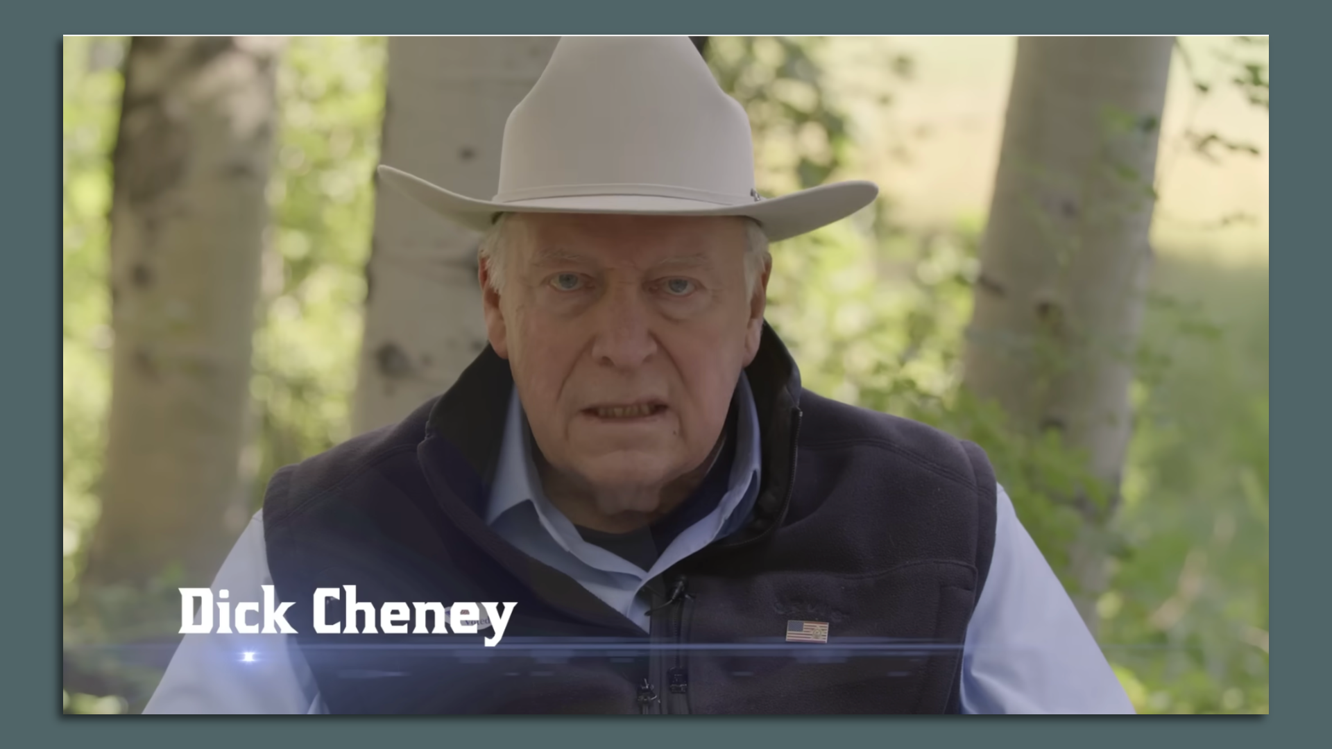 Screenshot of Dick Cheney in an ad via YouTube