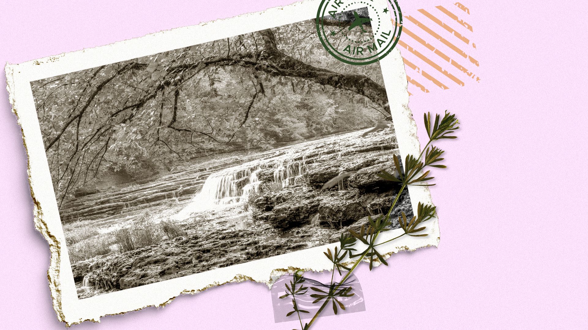 Photo illustration of falling water cascades in Burgess Falls State Park near Cookeville, Tennessee, surrounded by a torn photo border, leaves, and pink background with wavy lines.