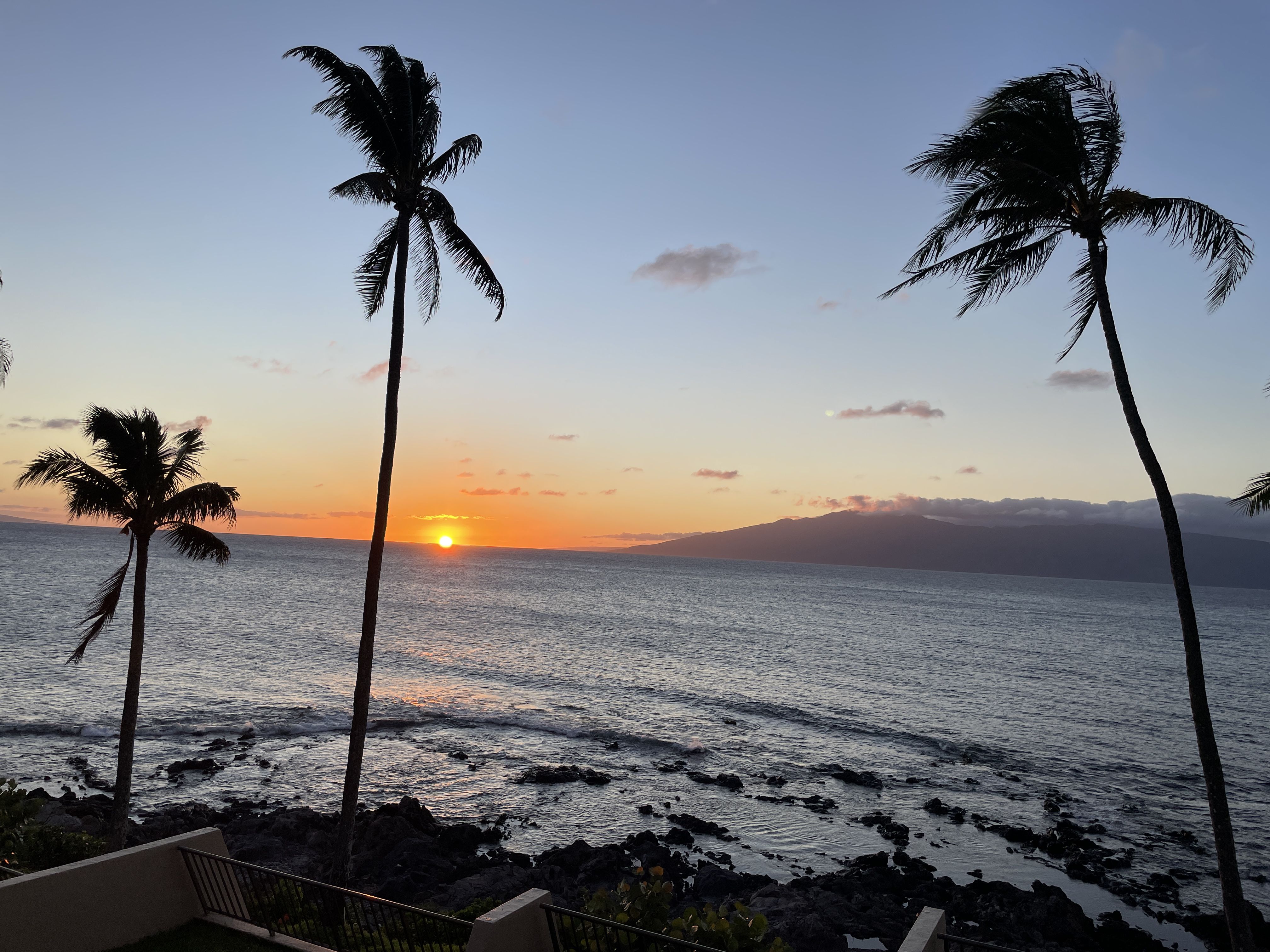 Sunset over a rocky shoreline with silhouetted palm trees swaying above the calm blue ocean. An orange glow sits near the horizon, with a distant island and railing in the foreground left.