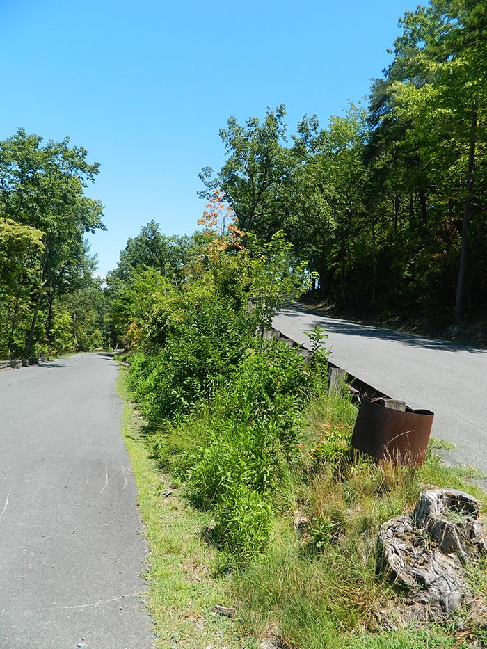 road-to-morrow-mountain