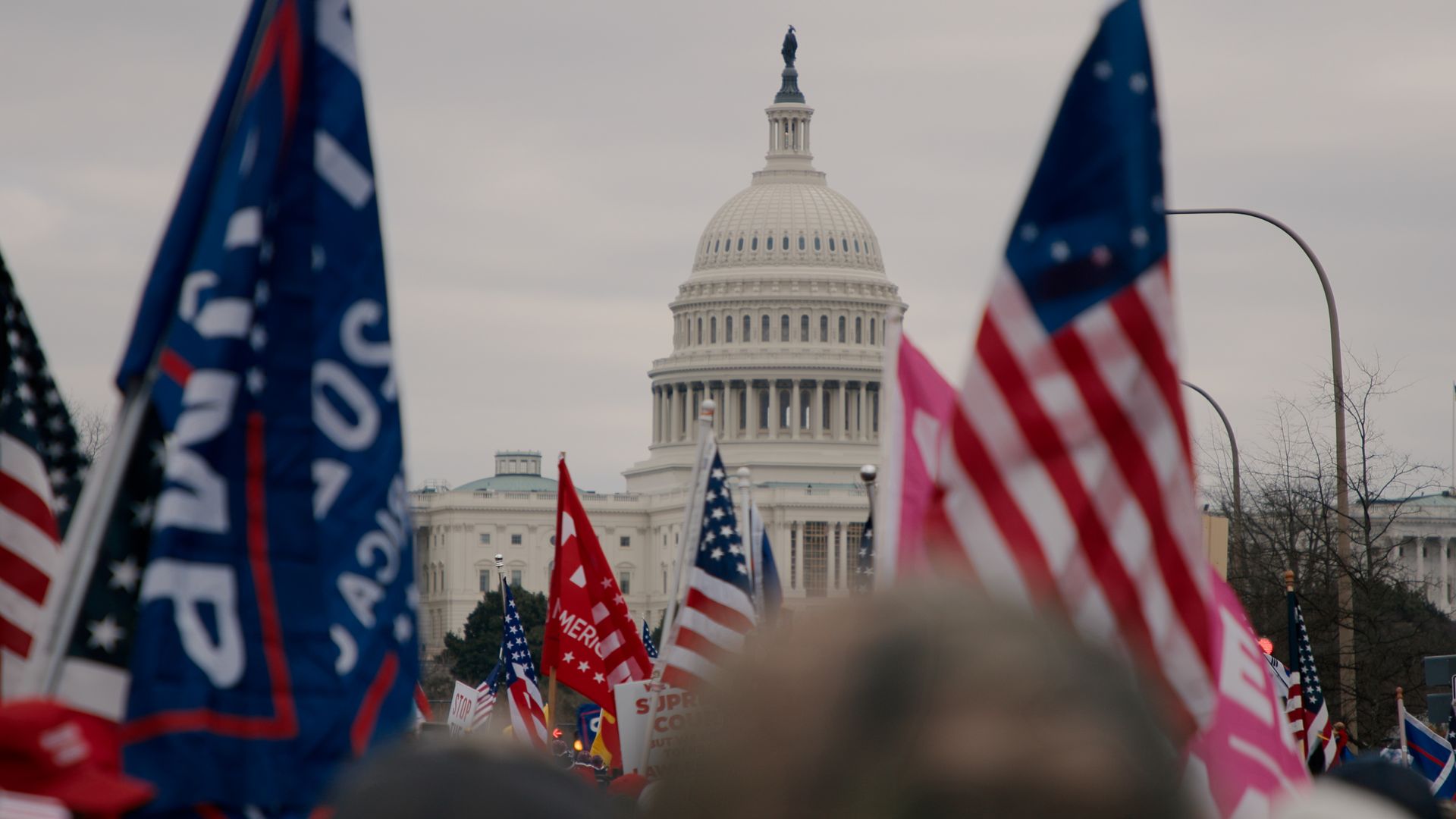 An image of people holding flags in front of the U.S. Capitol.