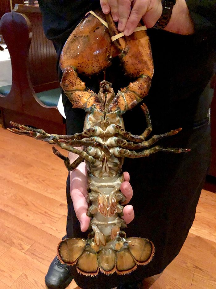 lobster at the palm in charlotte