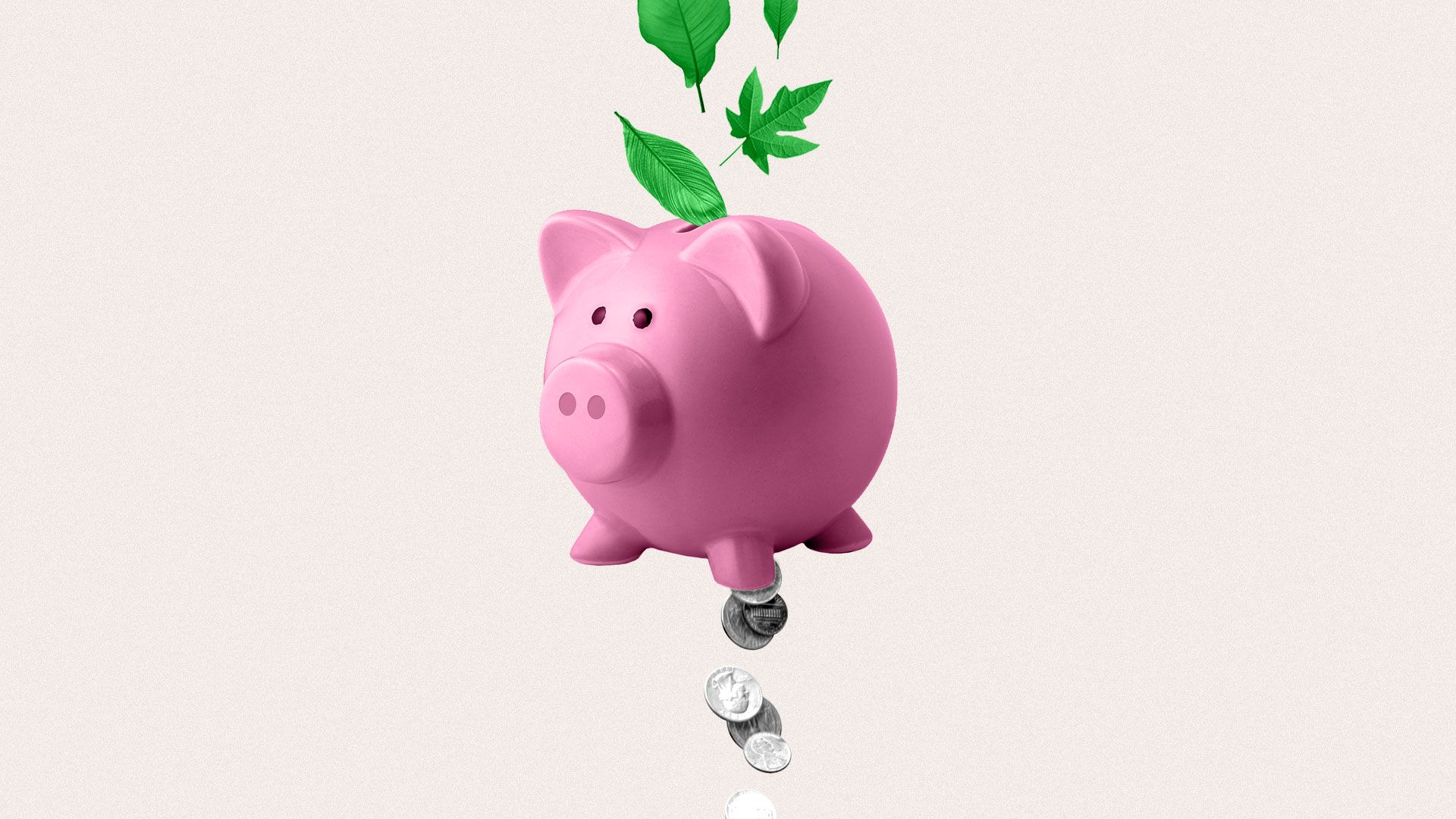 Illustration of a piggy bank with leaves coming in one end and coins falling out from the bottom.