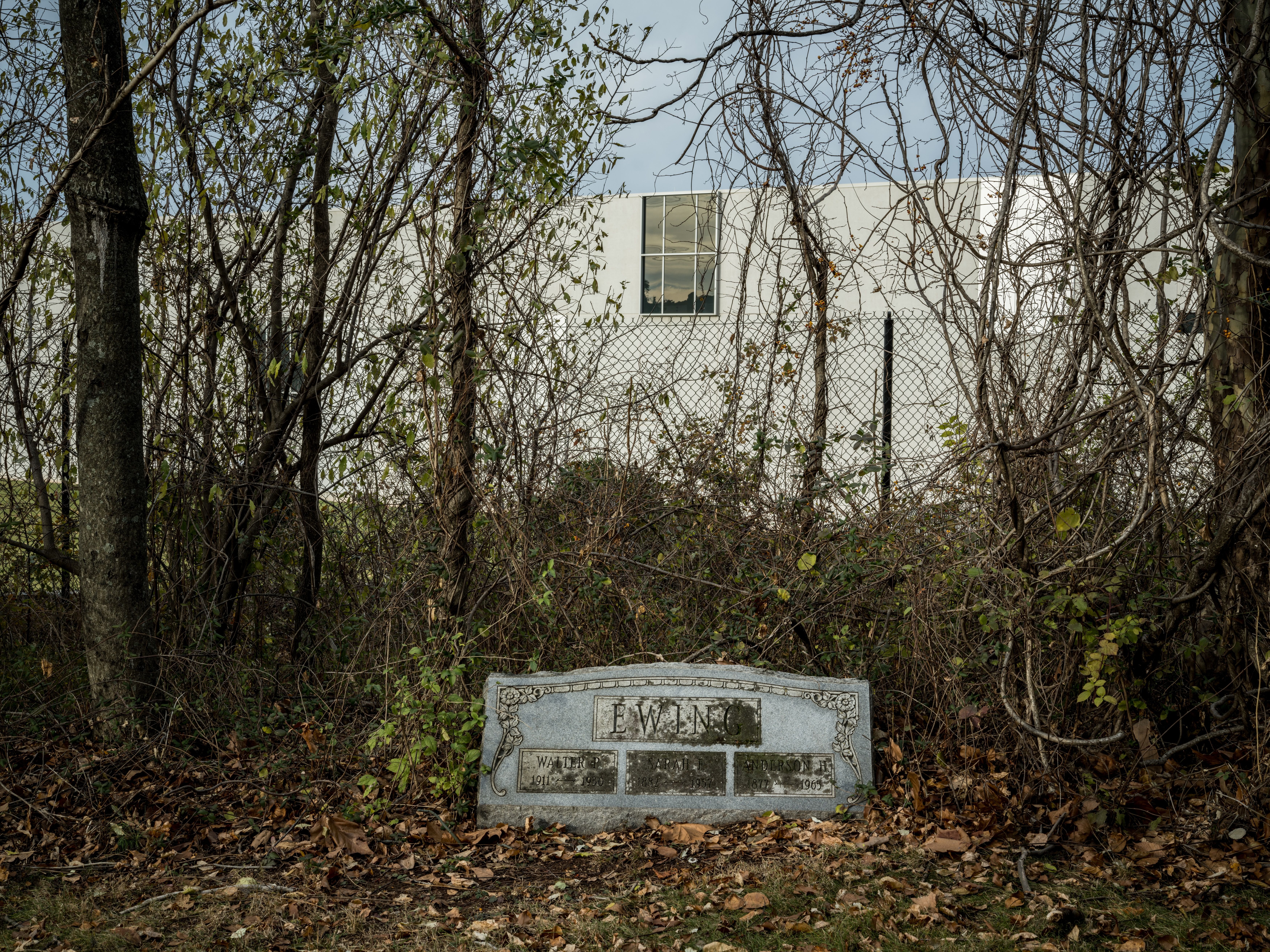 Overgrown yard with bare branches and vines covers a weathered grave marker reading EWING near a chain-link fence, with a white building and window in the background.