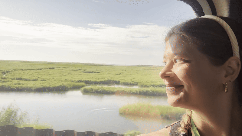 Woman with braided hair and headband smiling, looking out a window at a sunlit green marshland with blue sky and water.