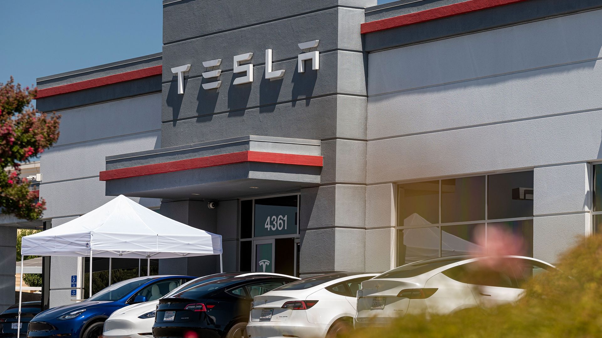 Photo of a row of Tesla cars parked in front of a building with the Tesla brand