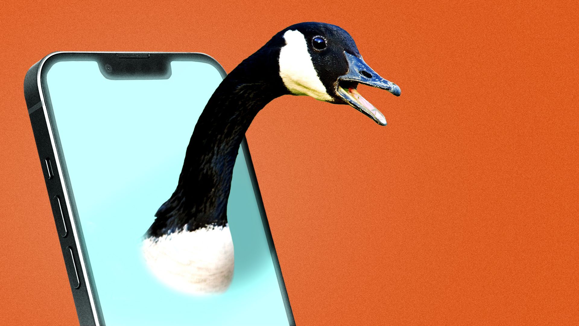 an illustration of a goose popping out of a phone screen