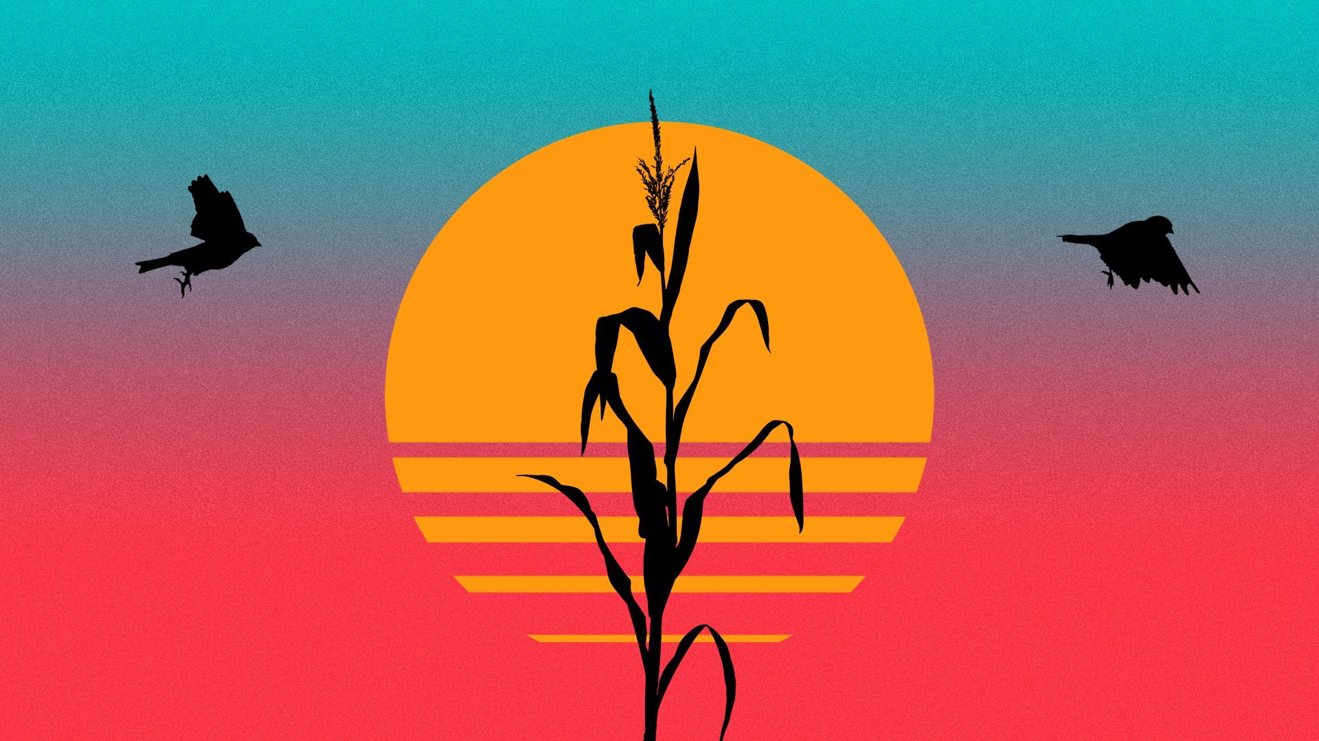 Illustration of a cornstalk and two goldfinches silhouetted against a sun and sky in neon colors.