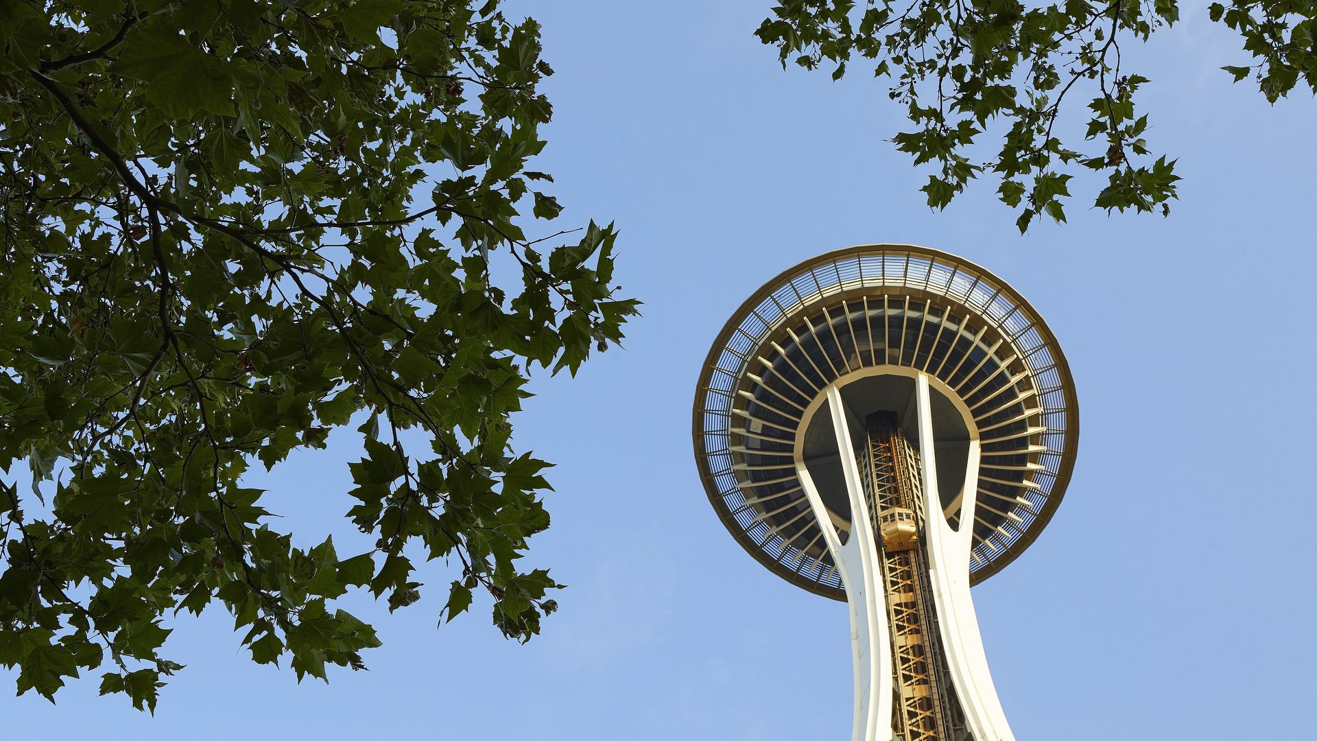 The Space Needle in Seattle framed by tree leaves