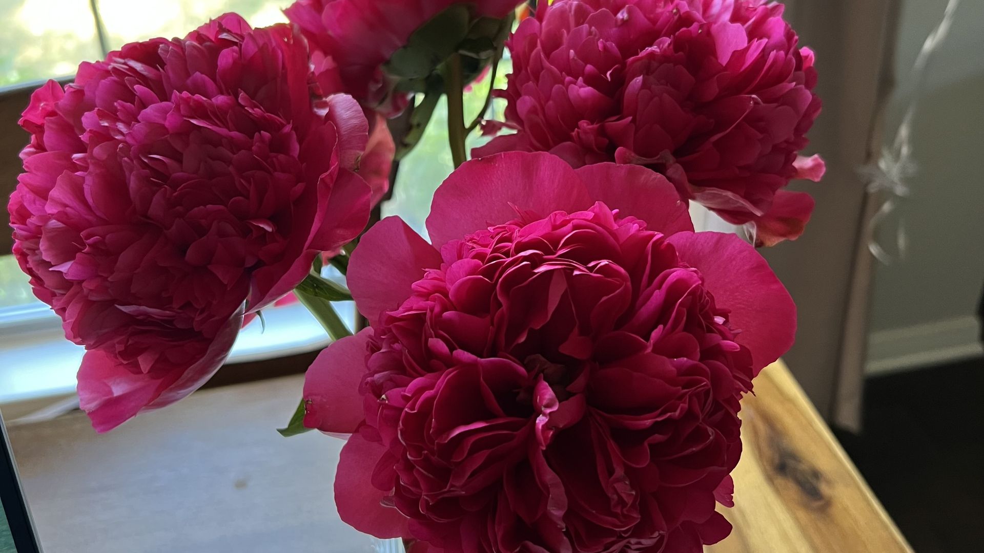 Close-up of four bright magenta peony flowers in a clear glass vase on a wooden table, with a window and stained glass in the background.