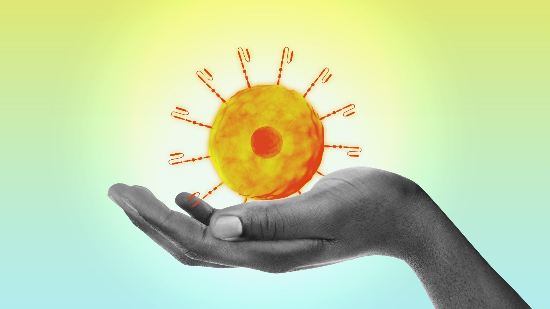 Illustration of a cupped hand holding a car-t cell