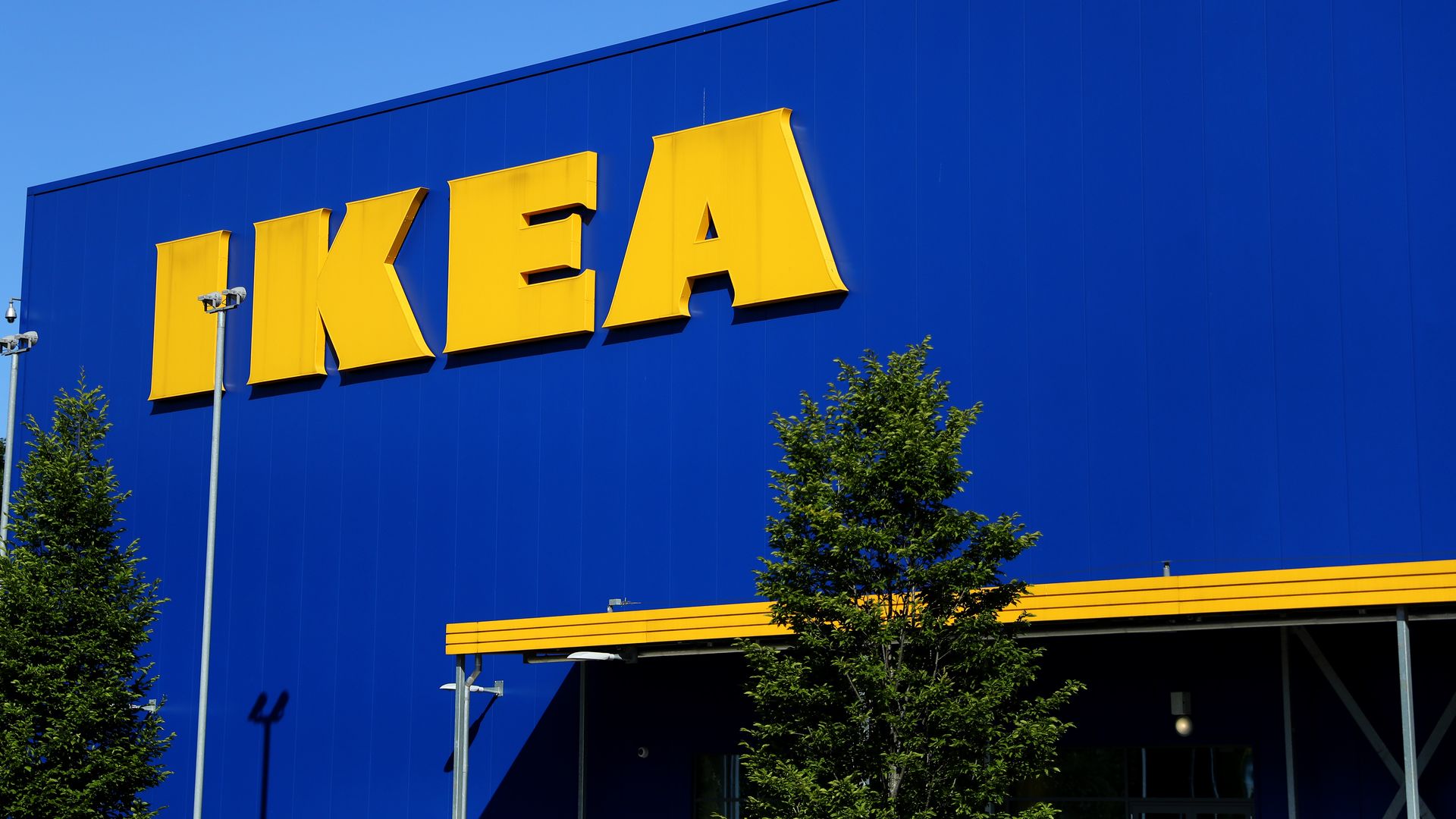 Photo: Warren Little/Getty Images