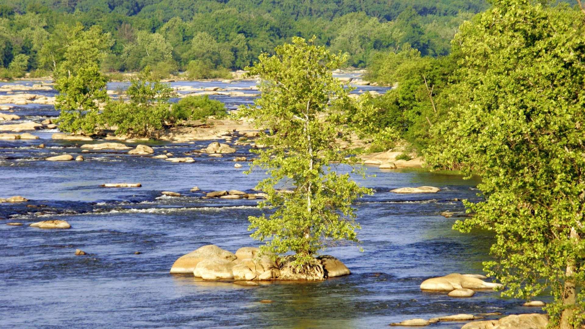 A bunch of rocks and trees in the middle of the James River 