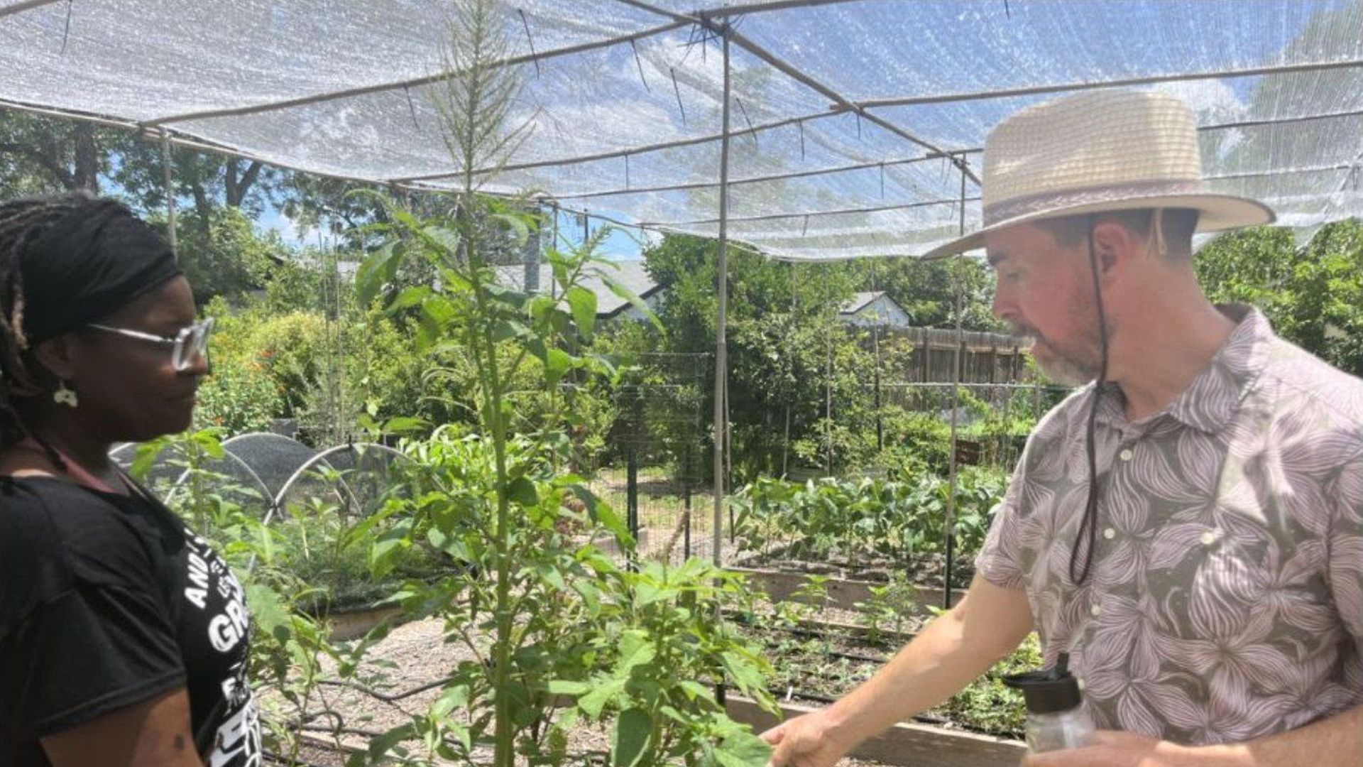 Two people in a shaded garden area with green plants; a man in a hat and patterned shirt points at a plant while holding a water bottle, a woman in glasses and black shirt watches.