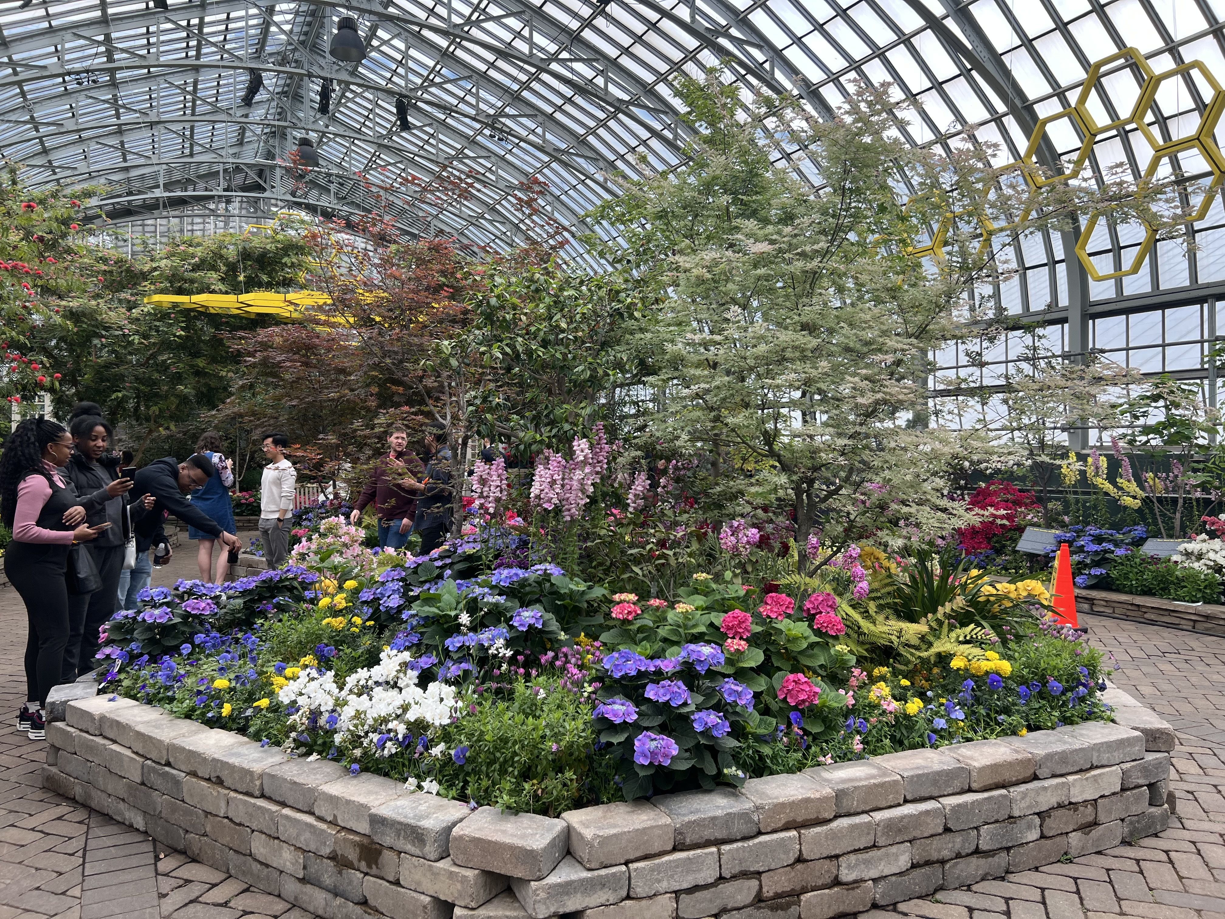 Photo of flowers at a conservatory