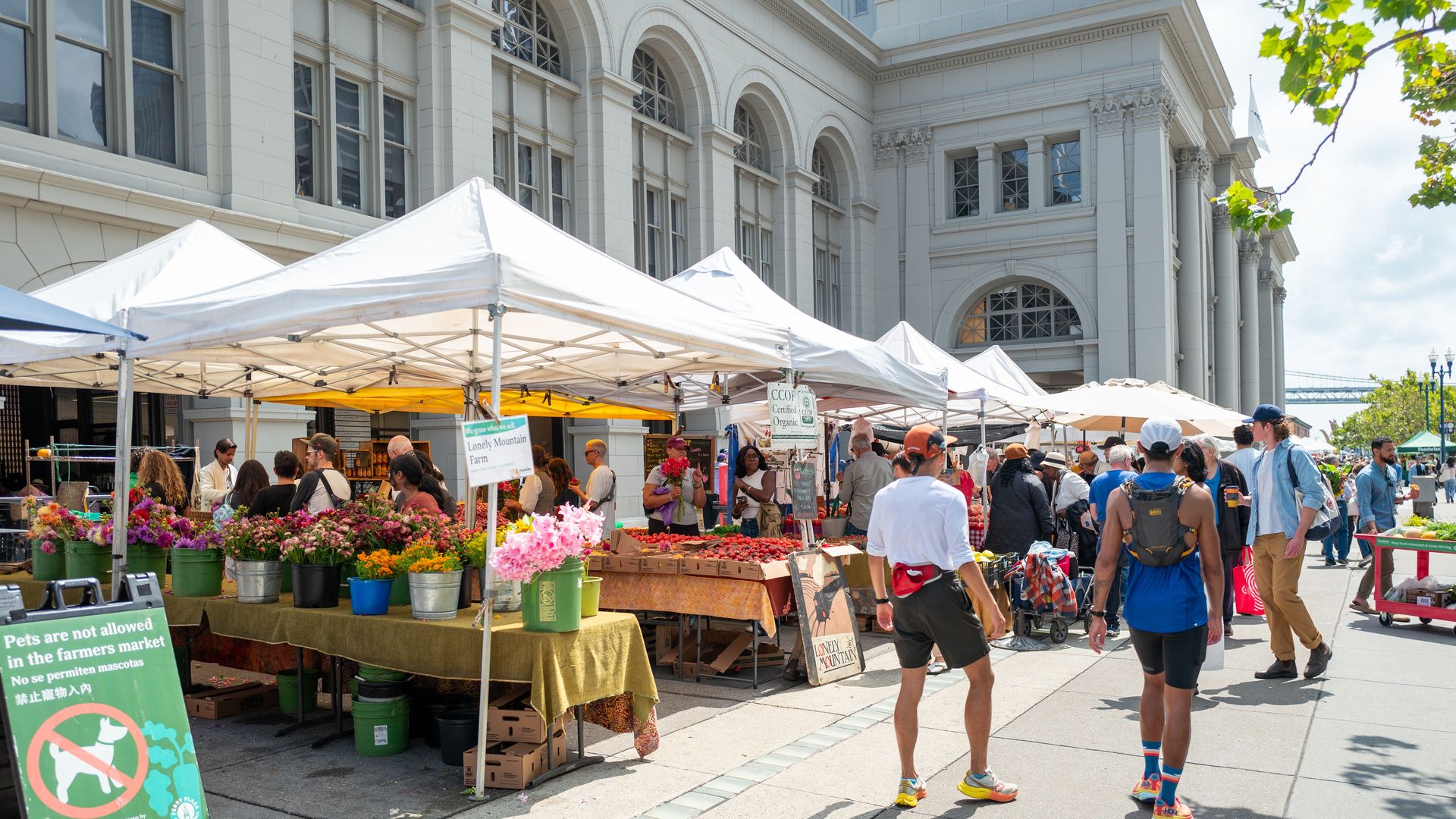 The Ferry Building Farmer's Market  Photo: Smith Collection/Gado/Getty Images