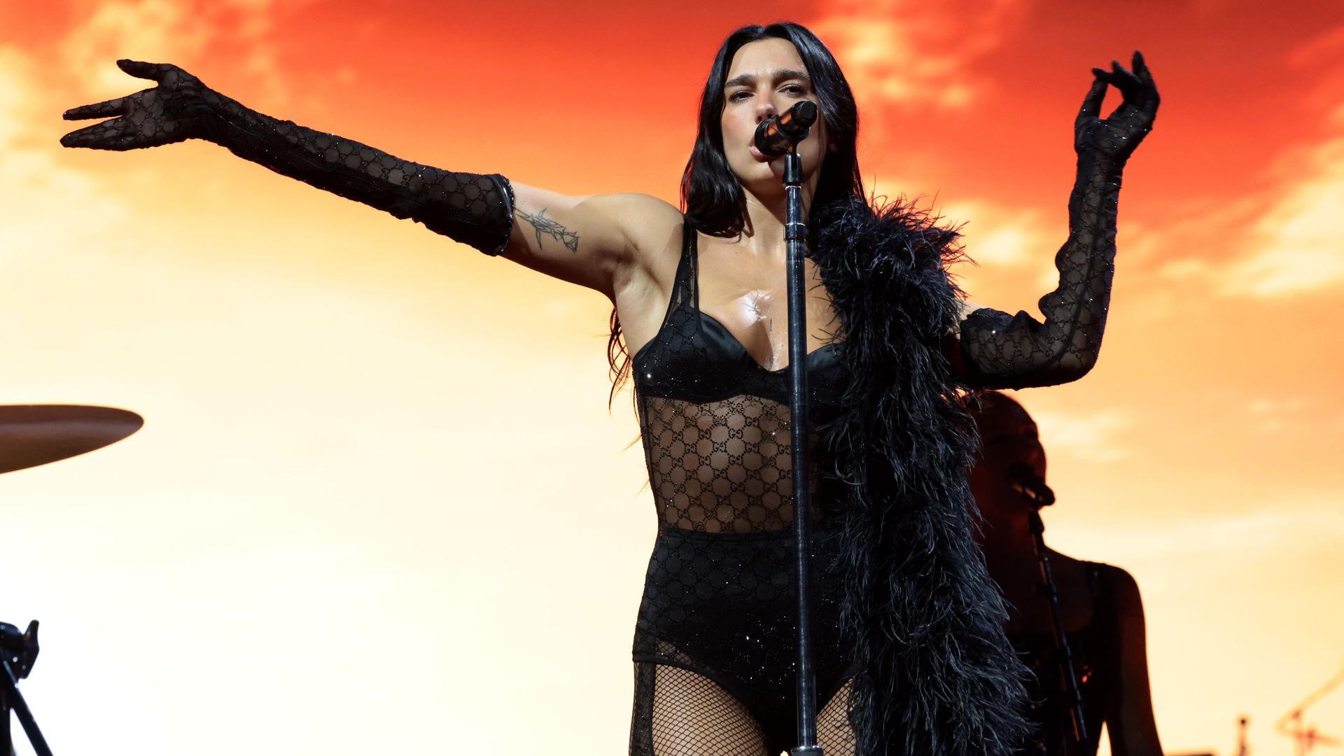 Female singer with long dark hair in a black sheer outfit and feather boa performs passionately on stage with a bright orange and yellow sunset background, holding a microphone.