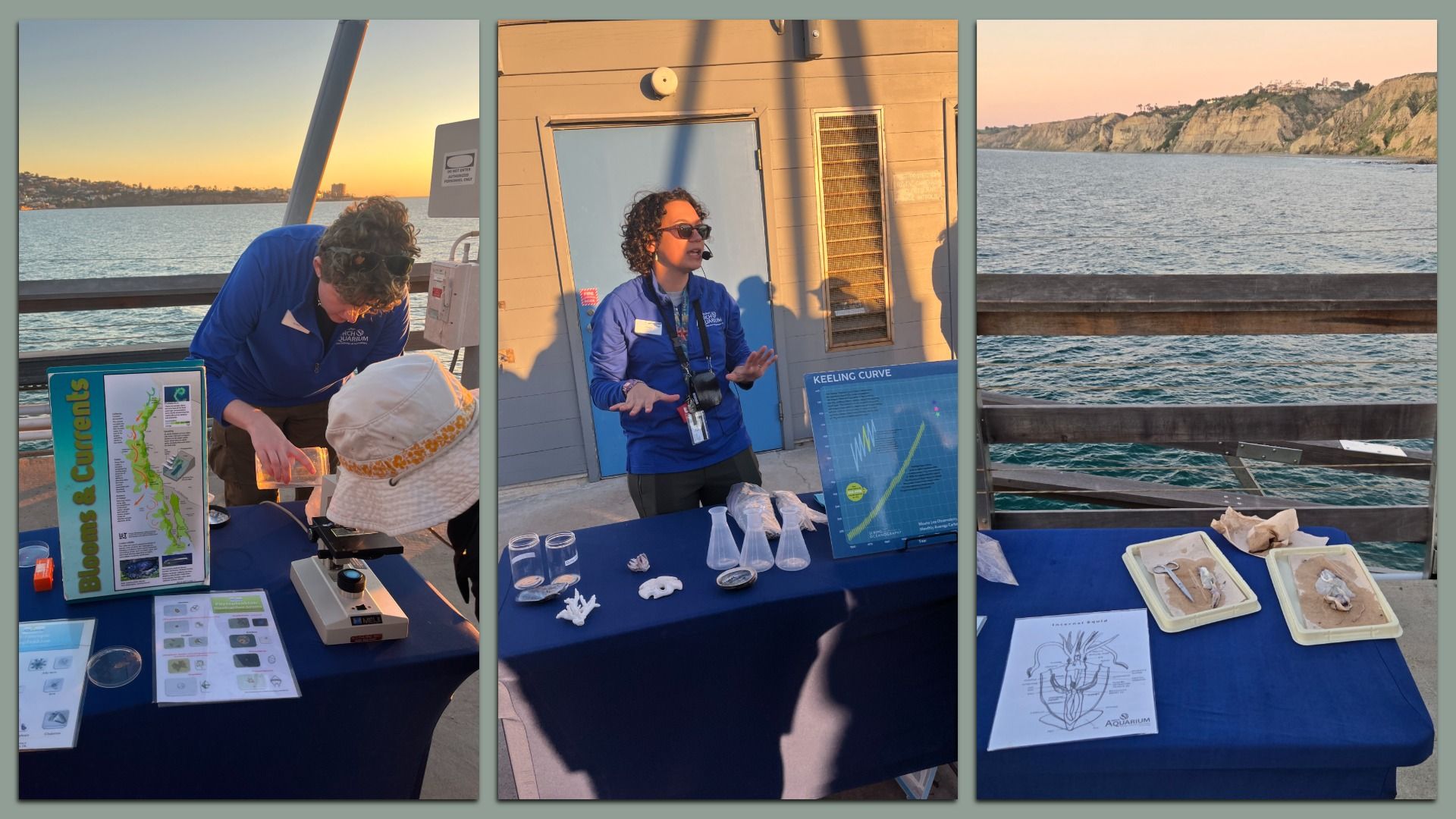Three photos show an outdoor educational setup near water at sunset. Two people in blue jackets conduct marine biology activities with microscopes, models, and charts about blooms, currents, and keeling curve.