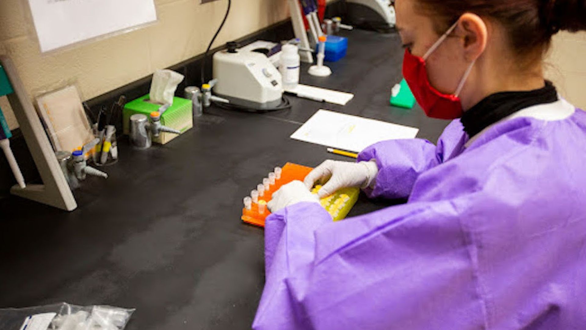 Photo of a lab technician. 