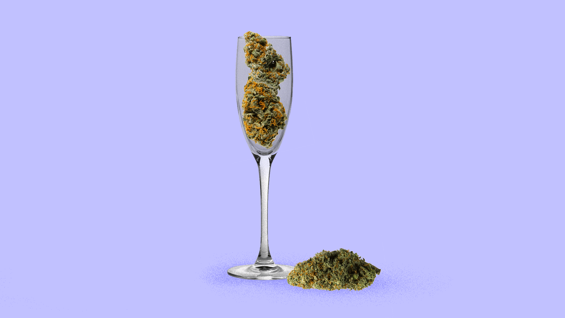 Illustration of marijuana buds in a champagne flute.